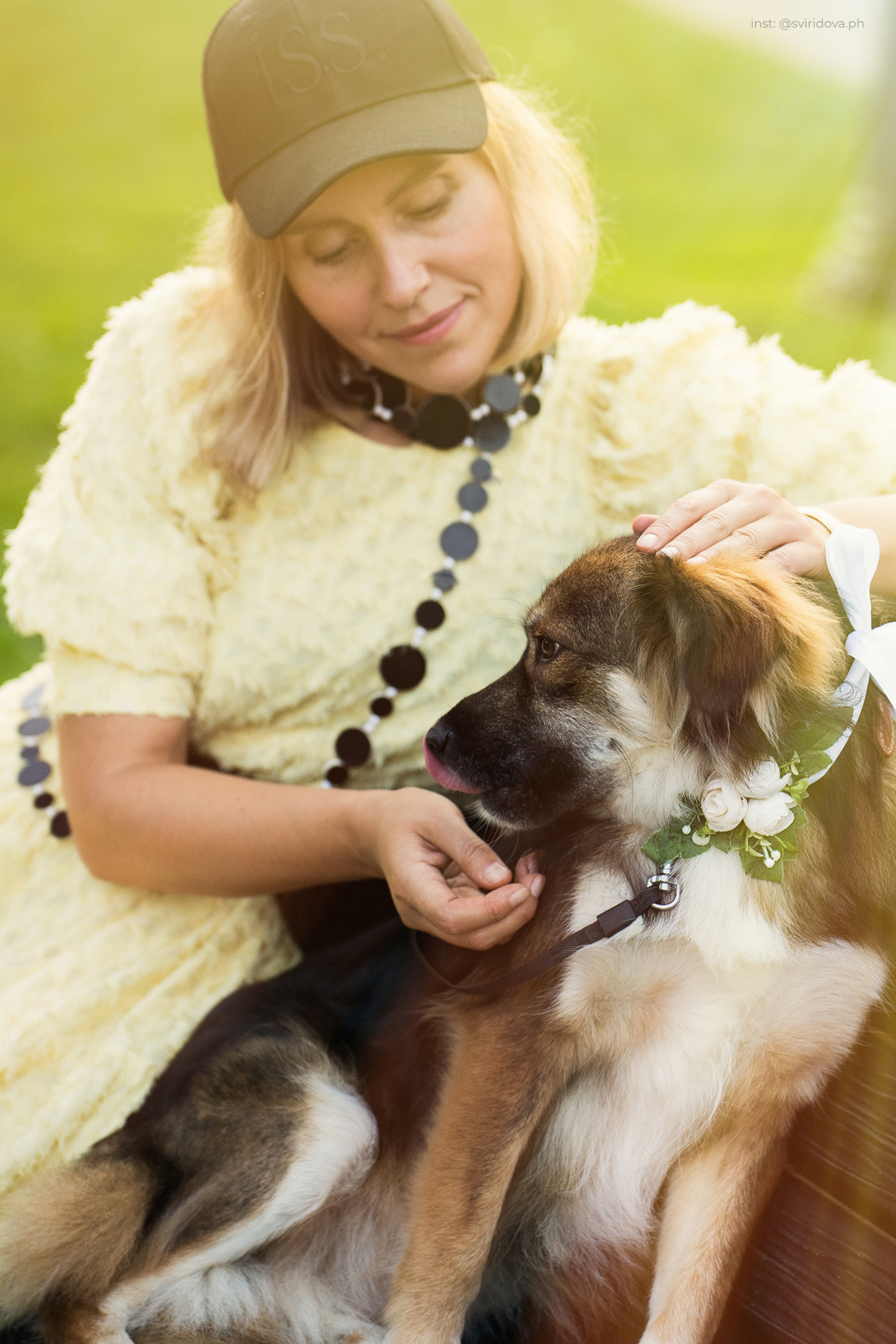 Собакам ищут дом. Фотограф анималист в Москве и Санкт-Петербурге Свиридова Анна