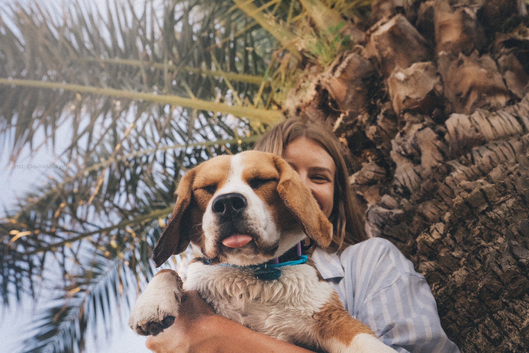 Евгения и Мира. Фотограф анималист в Москве и Санкт-Петербурге Свиридова Анна