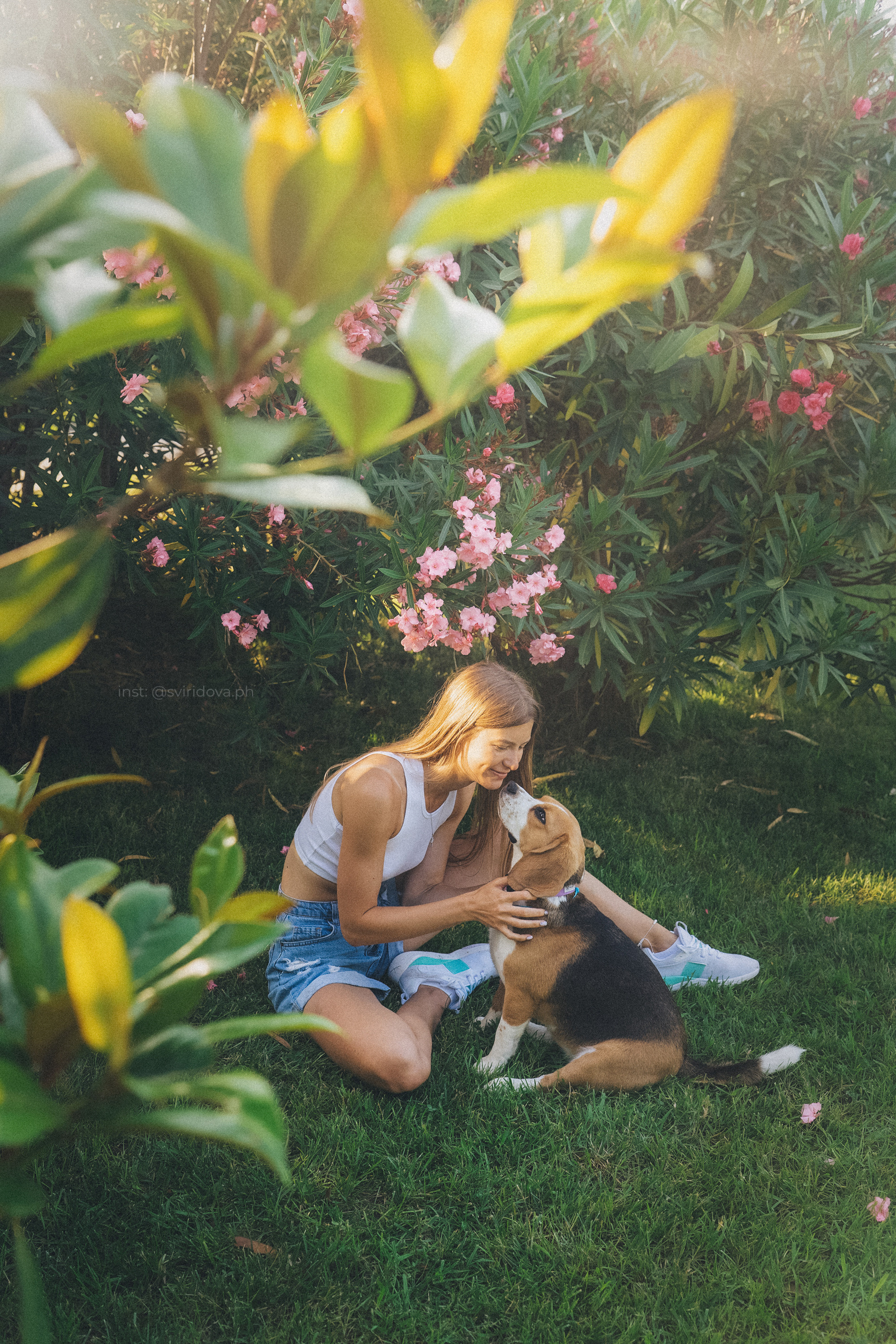 Евгения и Мира. Фотограф анималист в Москве и Санкт-Петербурге Свиридова Анна