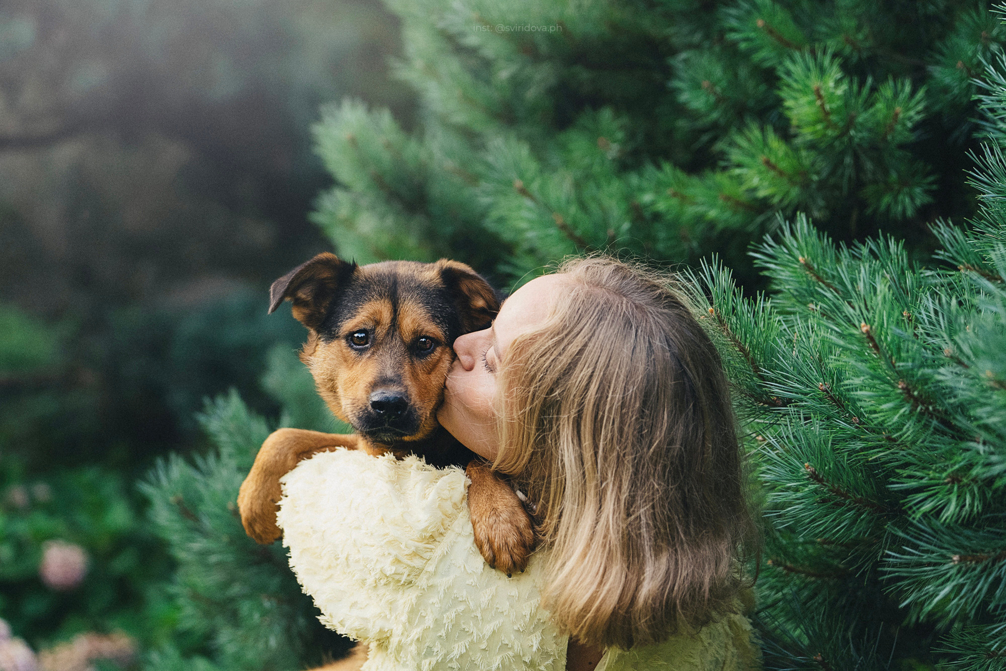 Собакам ищут дом. Фотограф анималист в Москве и Санкт-Петербурге Свиридова Анна