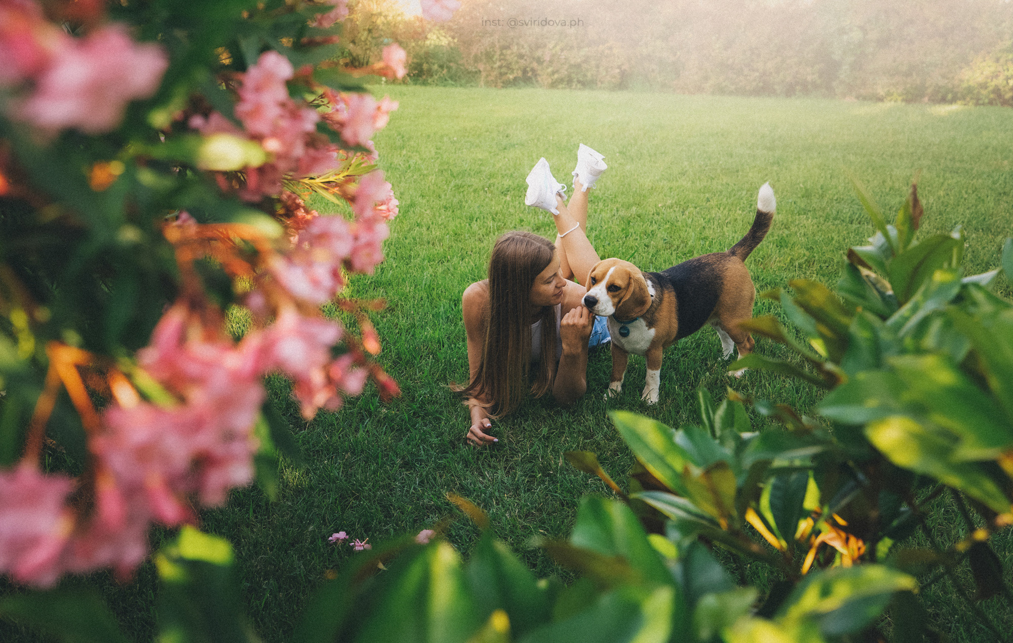Евгения и Мира. Фотограф анималист в Москве и Санкт-Петербурге Свиридова Анна