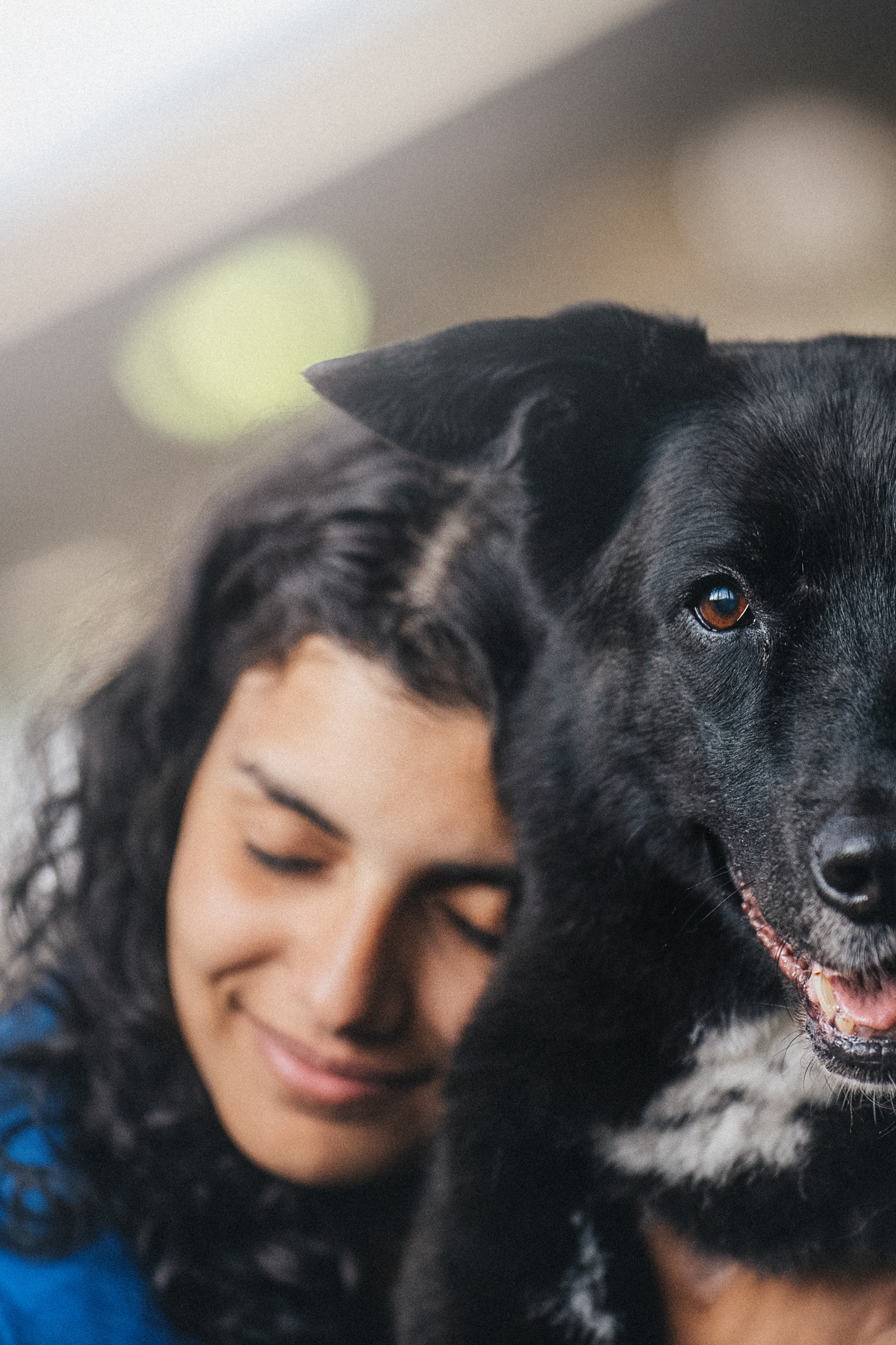 Вика и Чара. Фотограф анималист в Москве и Санкт-Петербурге Свиридова Анна