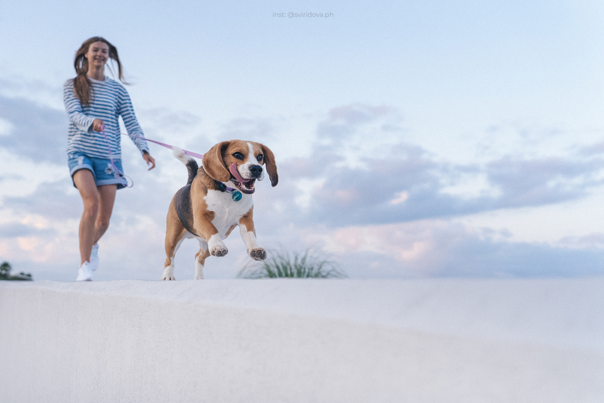 Евгения и Мира. Фотограф анималист в Москве и Санкт-Петербурге Свиридова Анна