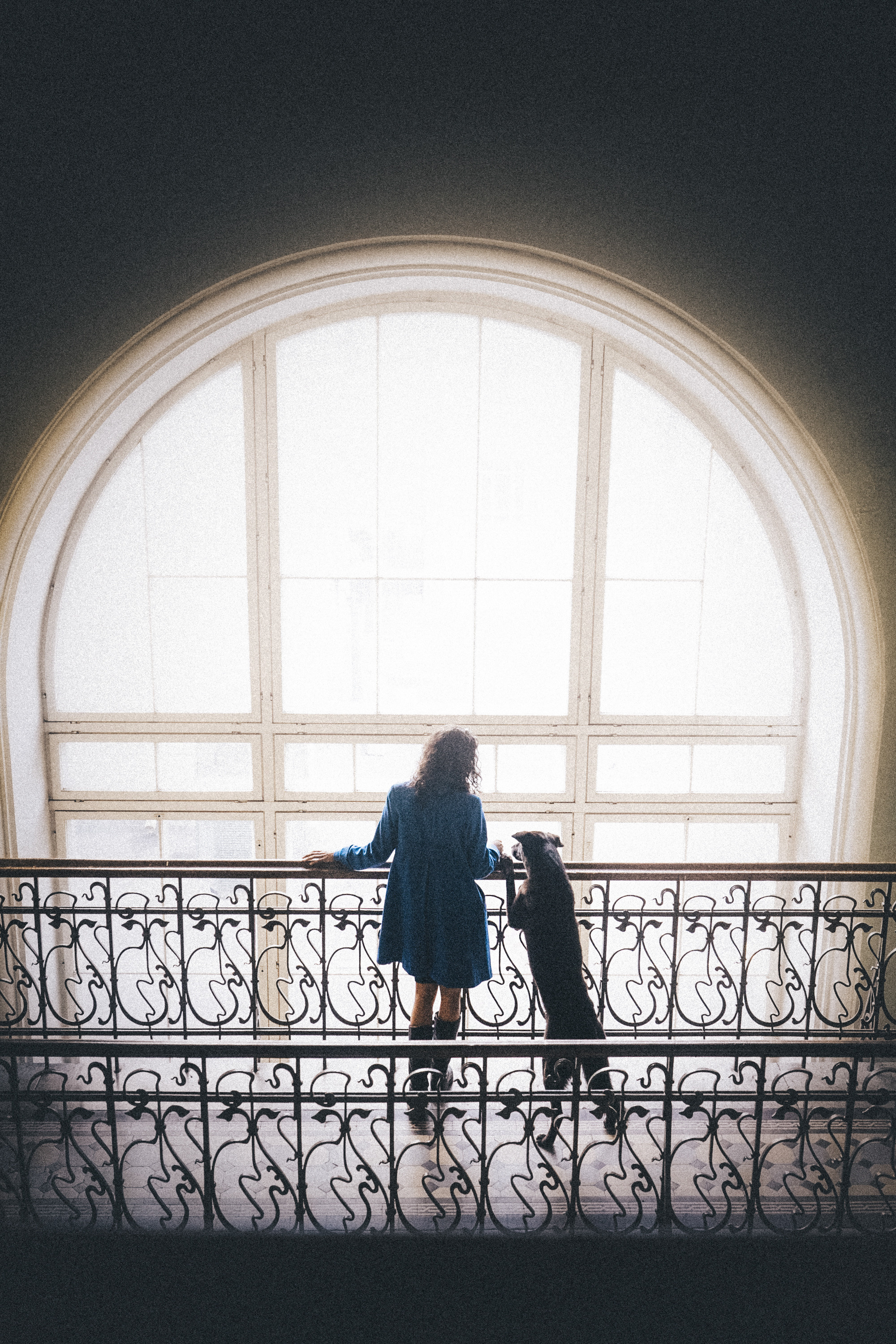 Вика и Чара. Фотограф анималист в Москве и Санкт-Петербурге Свиридова Анна