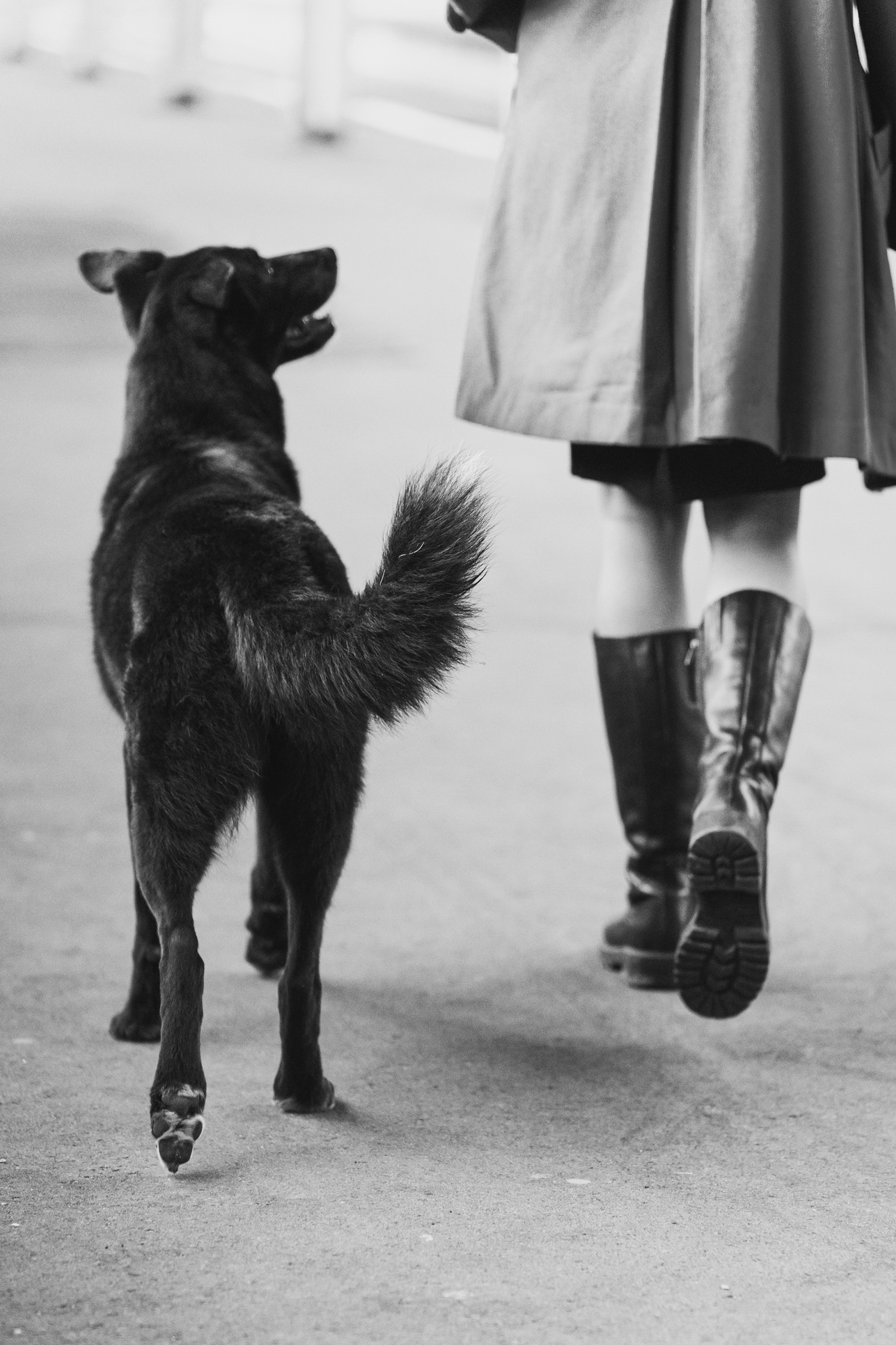 Вика и Чара. Фотограф анималист в Москве и Санкт-Петербурге Свиридова Анна