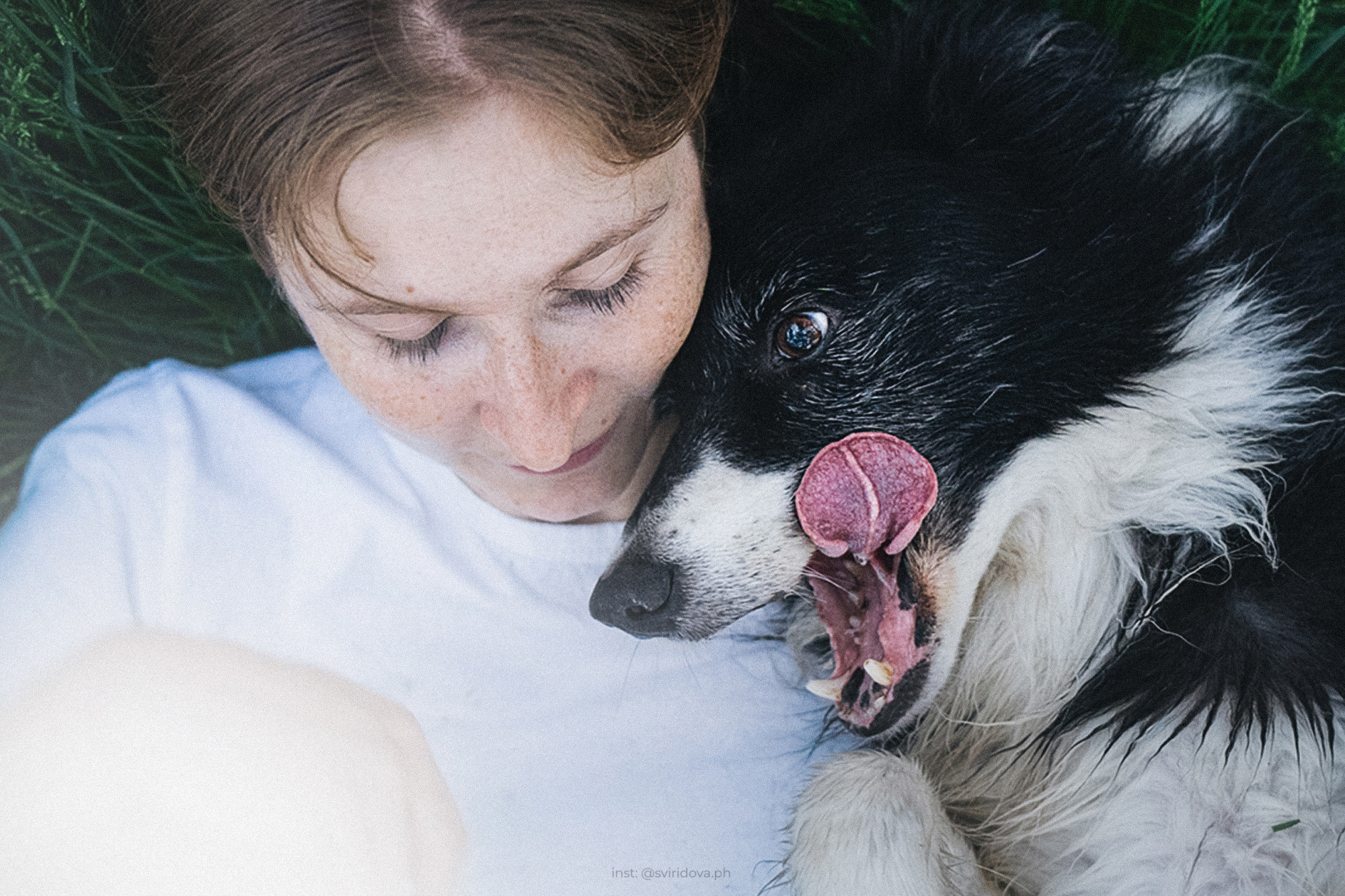 Вика и Веник. Фотограф анималист в Москве и Санкт-Петербурге Свиридова Анна