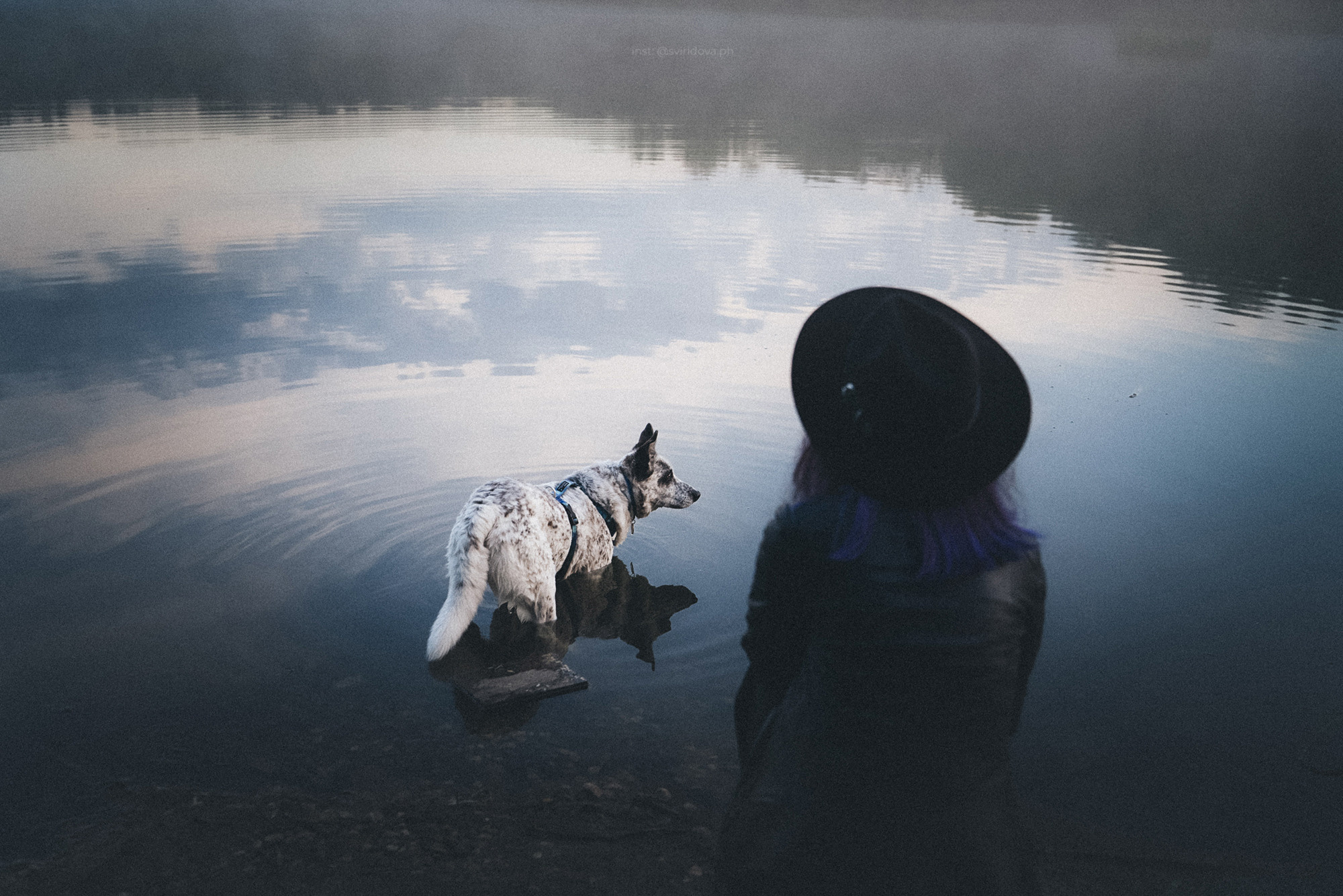 Катя и Бутуз. Фотограф анималист в Москве и Санкт-Петербурге Свиридова Анна