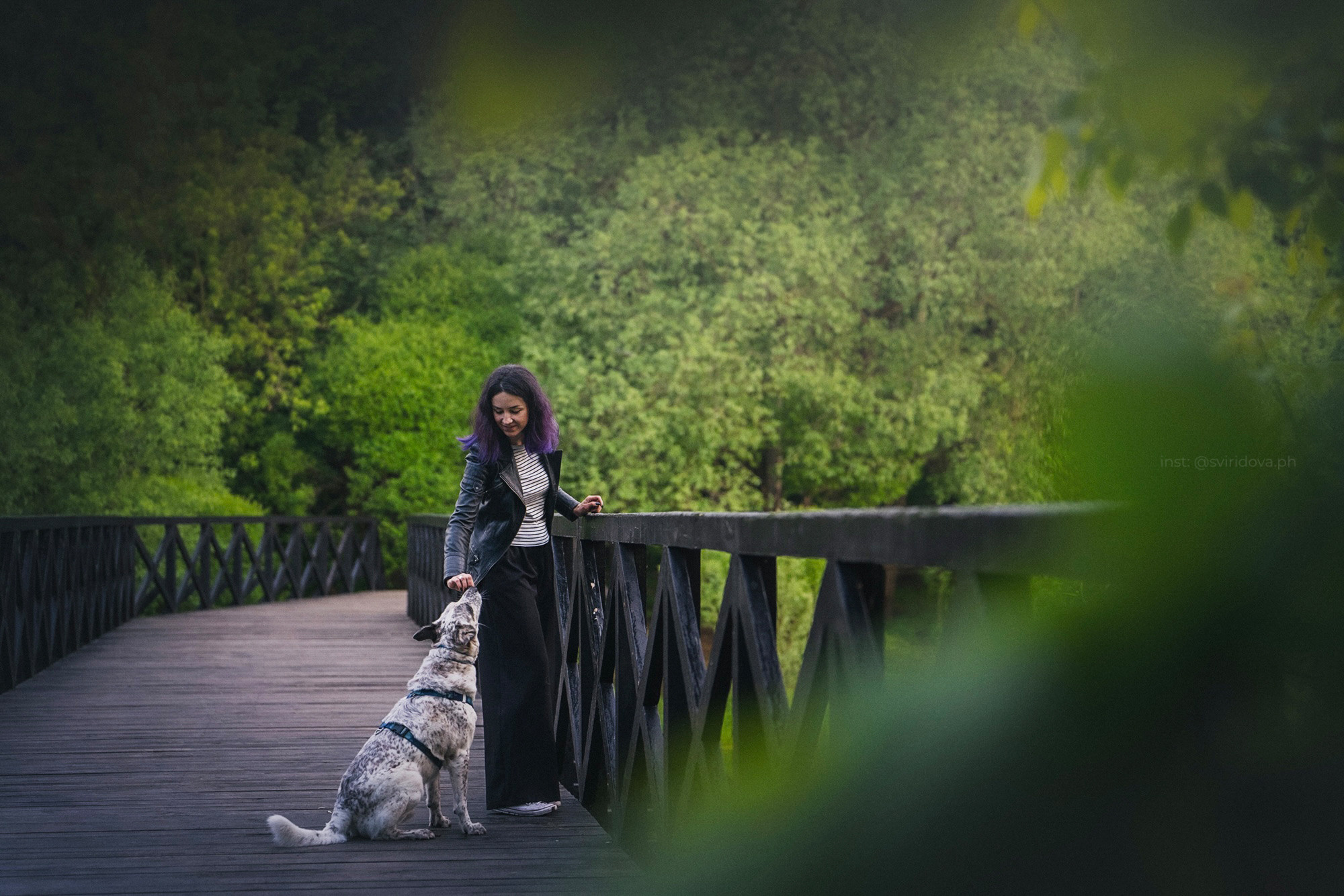 Катя и Бутуз. Фотограф анималист в Москве и Санкт-Петербурге Свиридова Анна