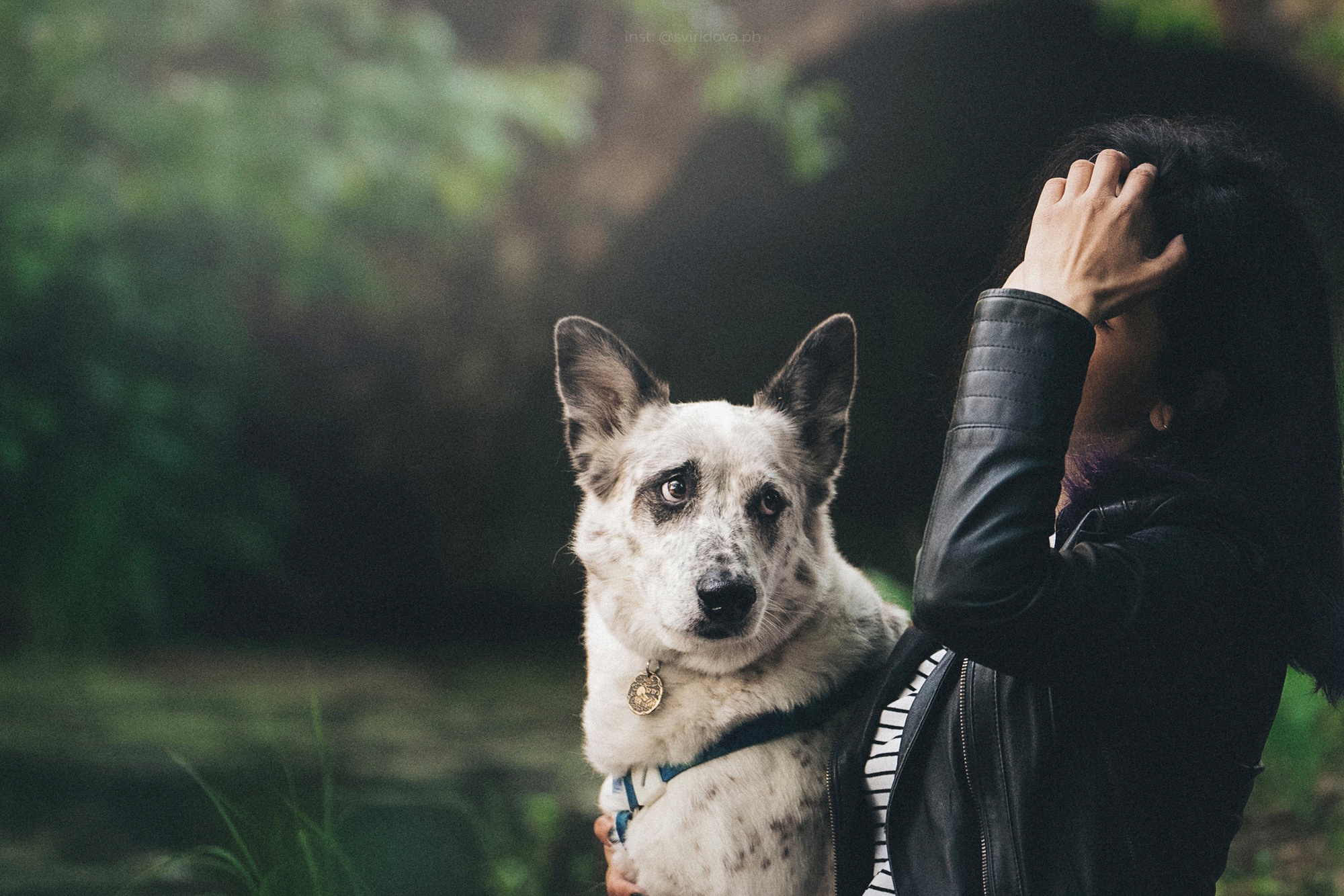Катя и Бутуз. Фотограф анималист в Москве и Санкт-Петербурге Свиридова Анна