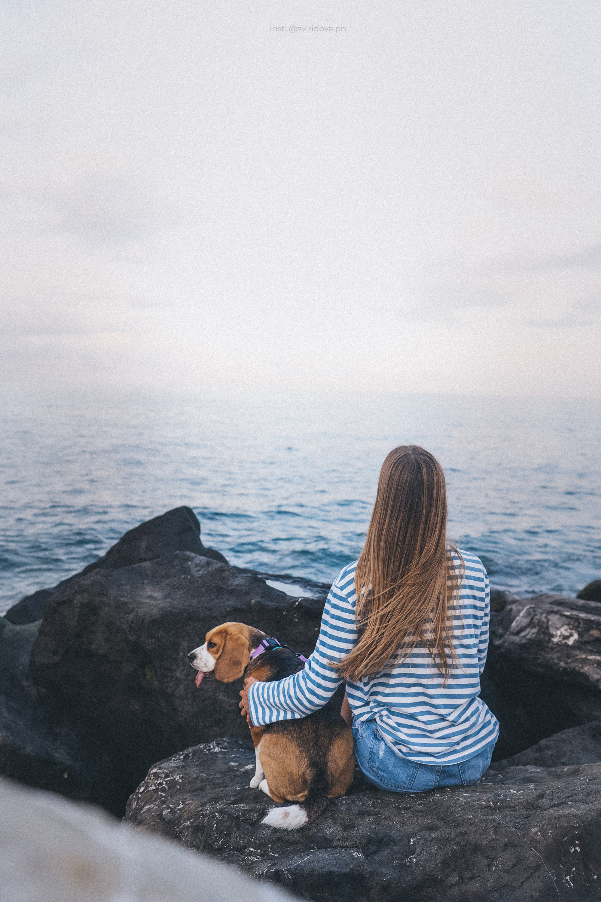 Евгения и Мира. Фотограф анималист в Москве и Санкт-Петербурге Свиридова Анна