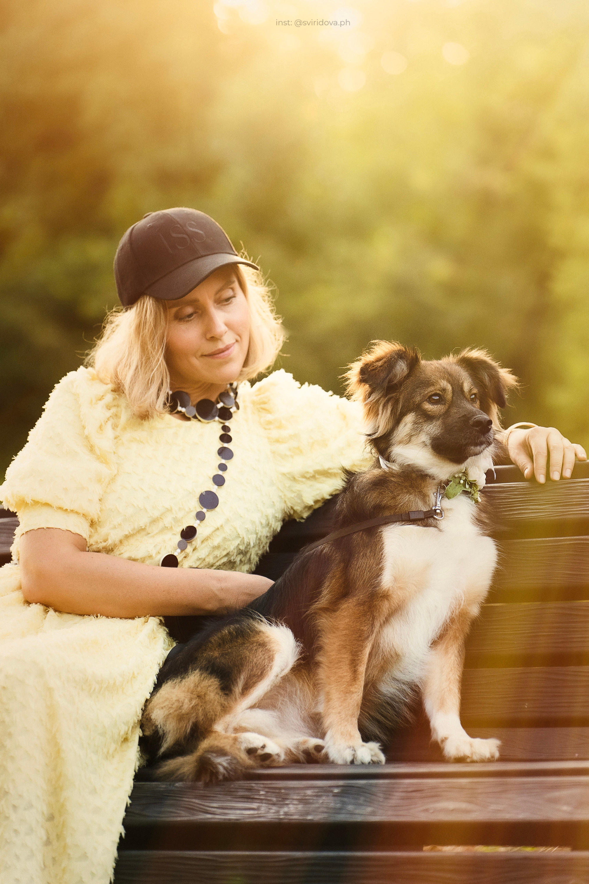 Собакам ищут дом. Фотограф анималист в Москве и Санкт-Петербурге Свиридова Анна