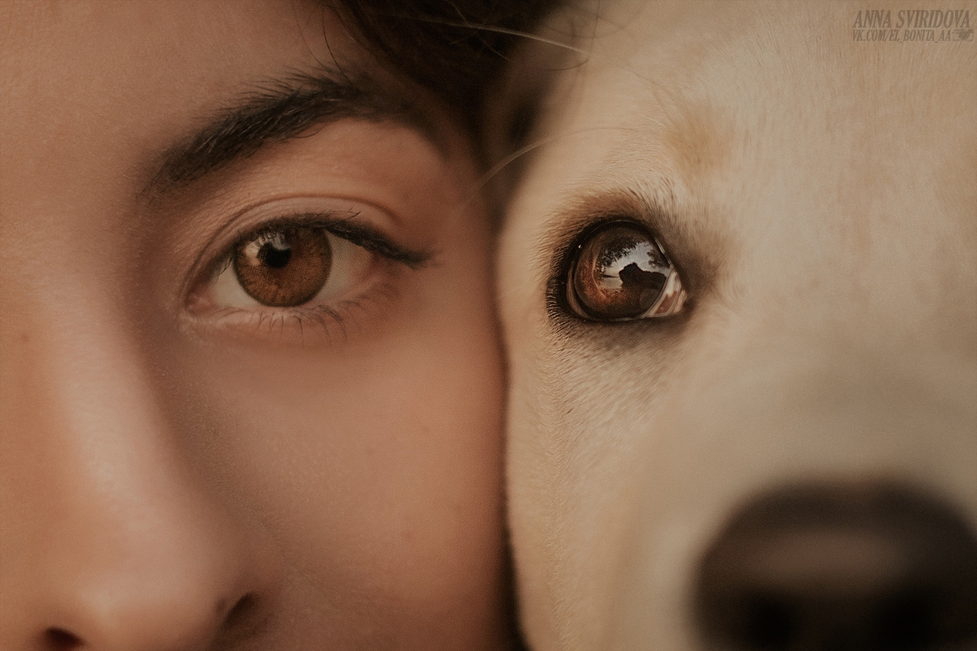 Фотограф анималист в Москве и Санкт-Петербурге Свиридова Анна