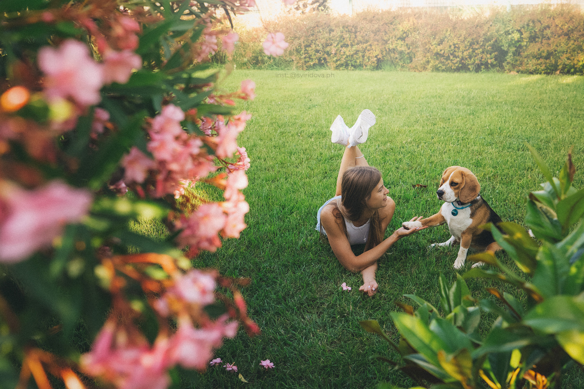 Евгения и Мира. Фотограф анималист в Москве и Санкт-Петербурге Свиридова Анна