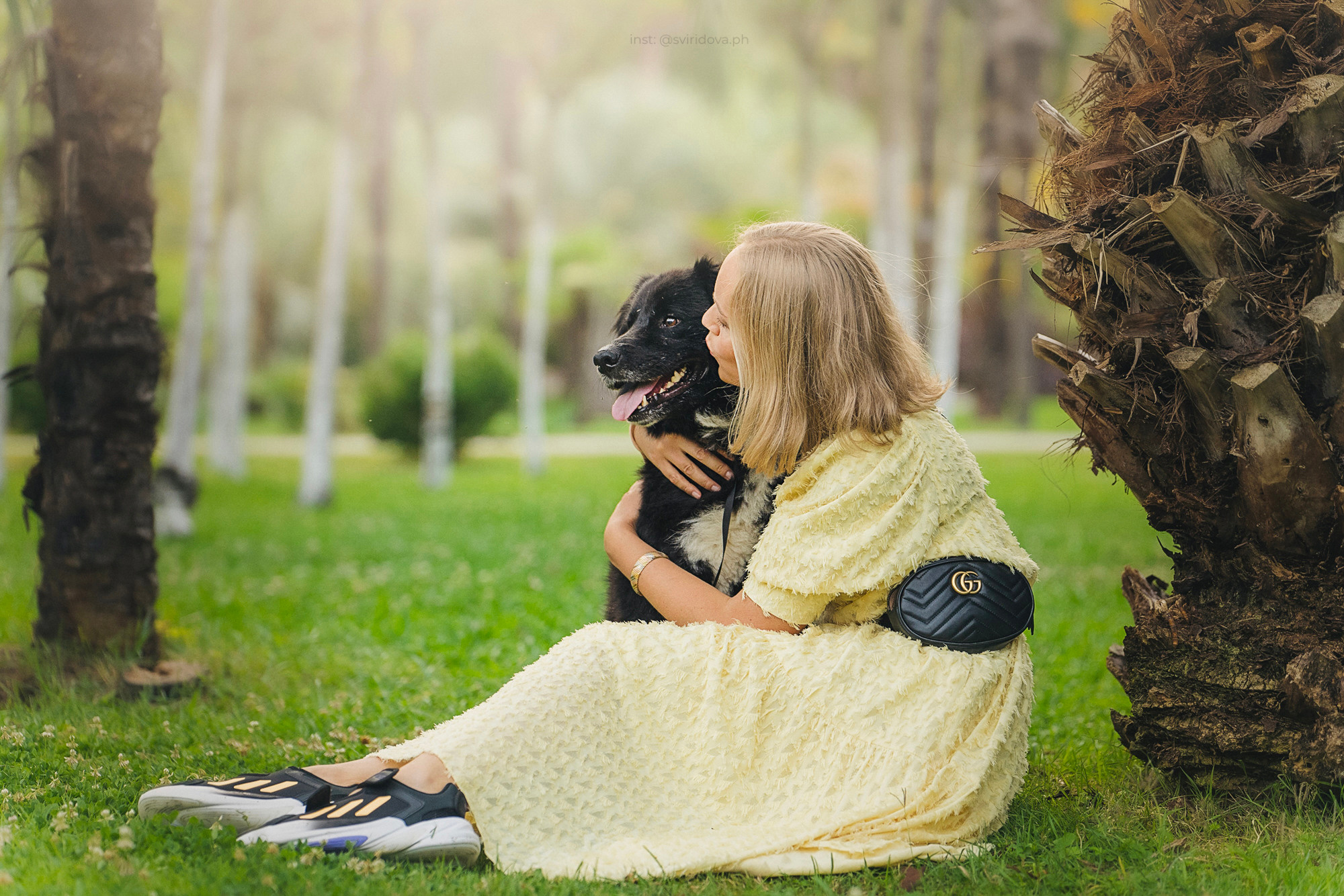 Собакам ищут дом. Фотограф анималист в Москве и Санкт-Петербурге Свиридова Анна