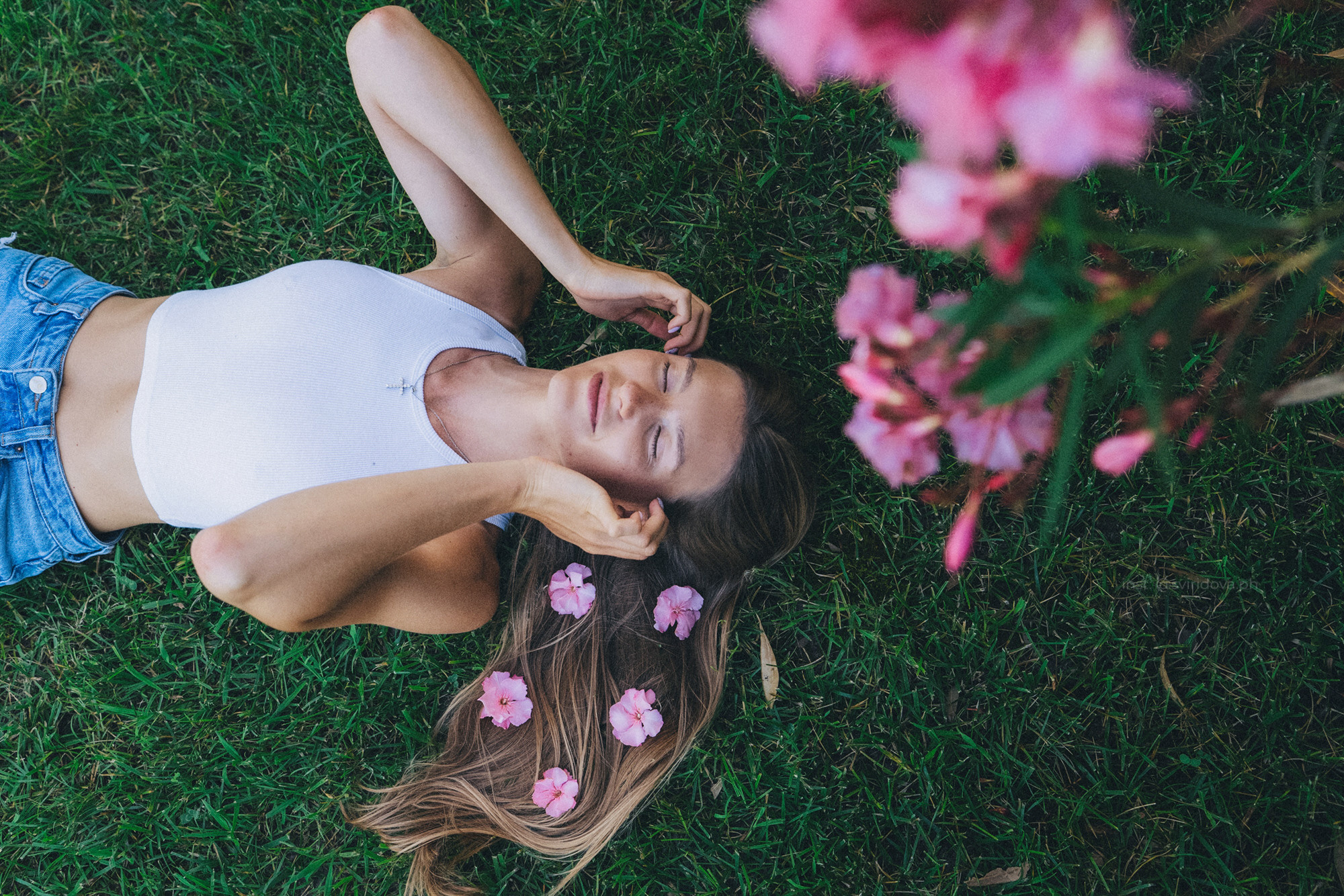Евгения и Мира. Фотограф анималист в Москве и Санкт-Петербурге Свиридова Анна