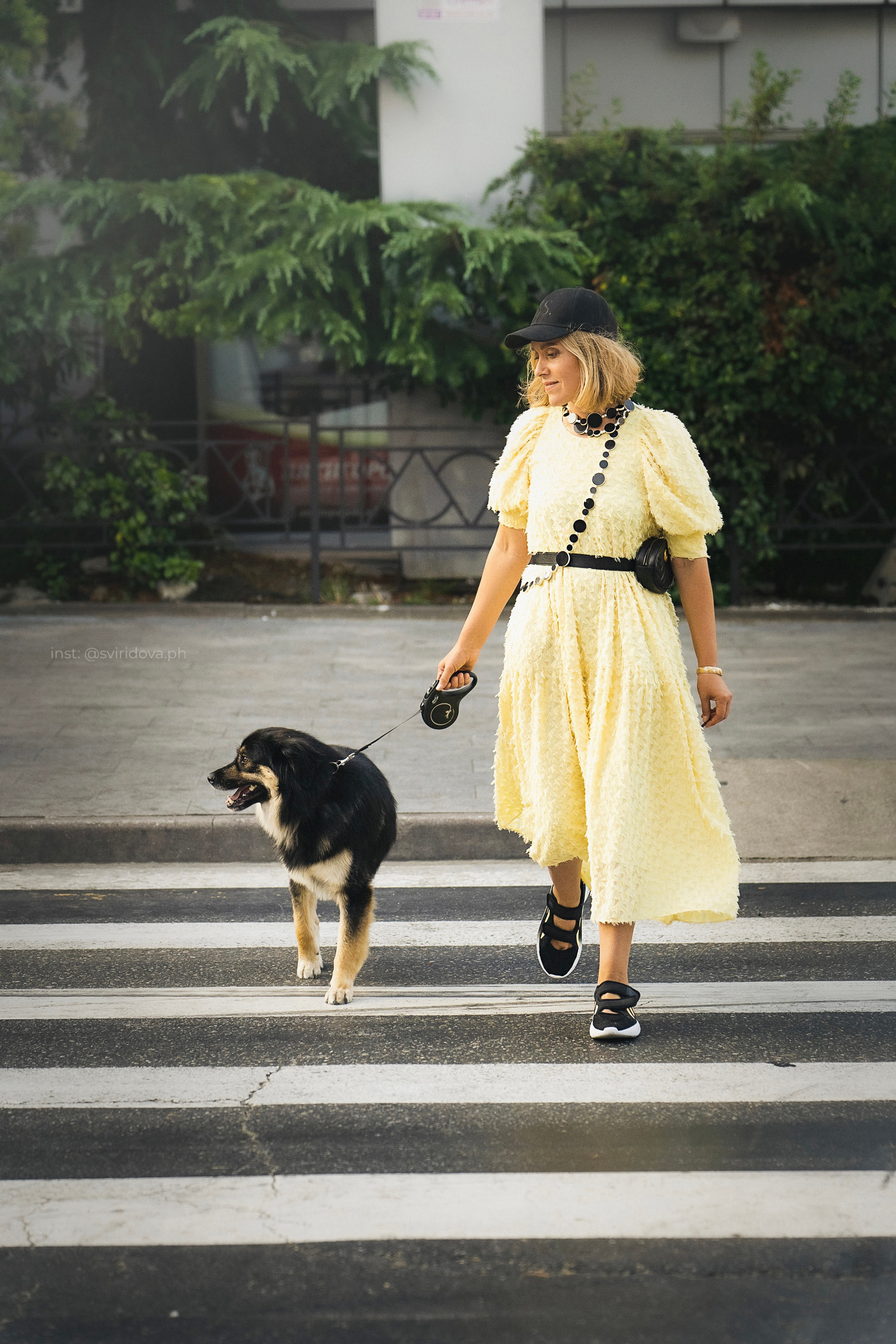 Собакам ищут дом. Фотограф анималист в Москве и Санкт-Петербурге Свиридова Анна