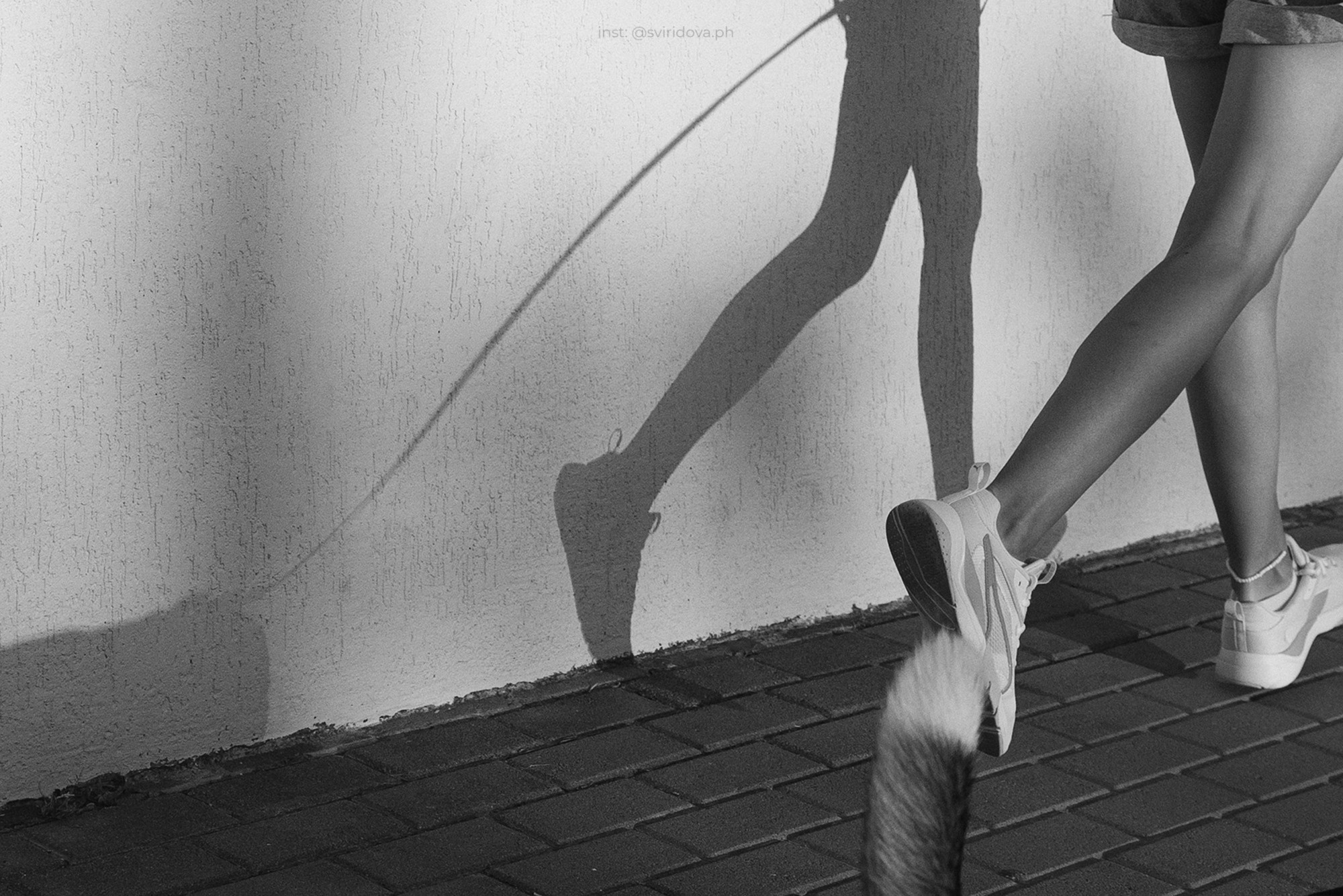 Евгения и Мира. Фотограф анималист в Москве и Санкт-Петербурге Свиридова Анна