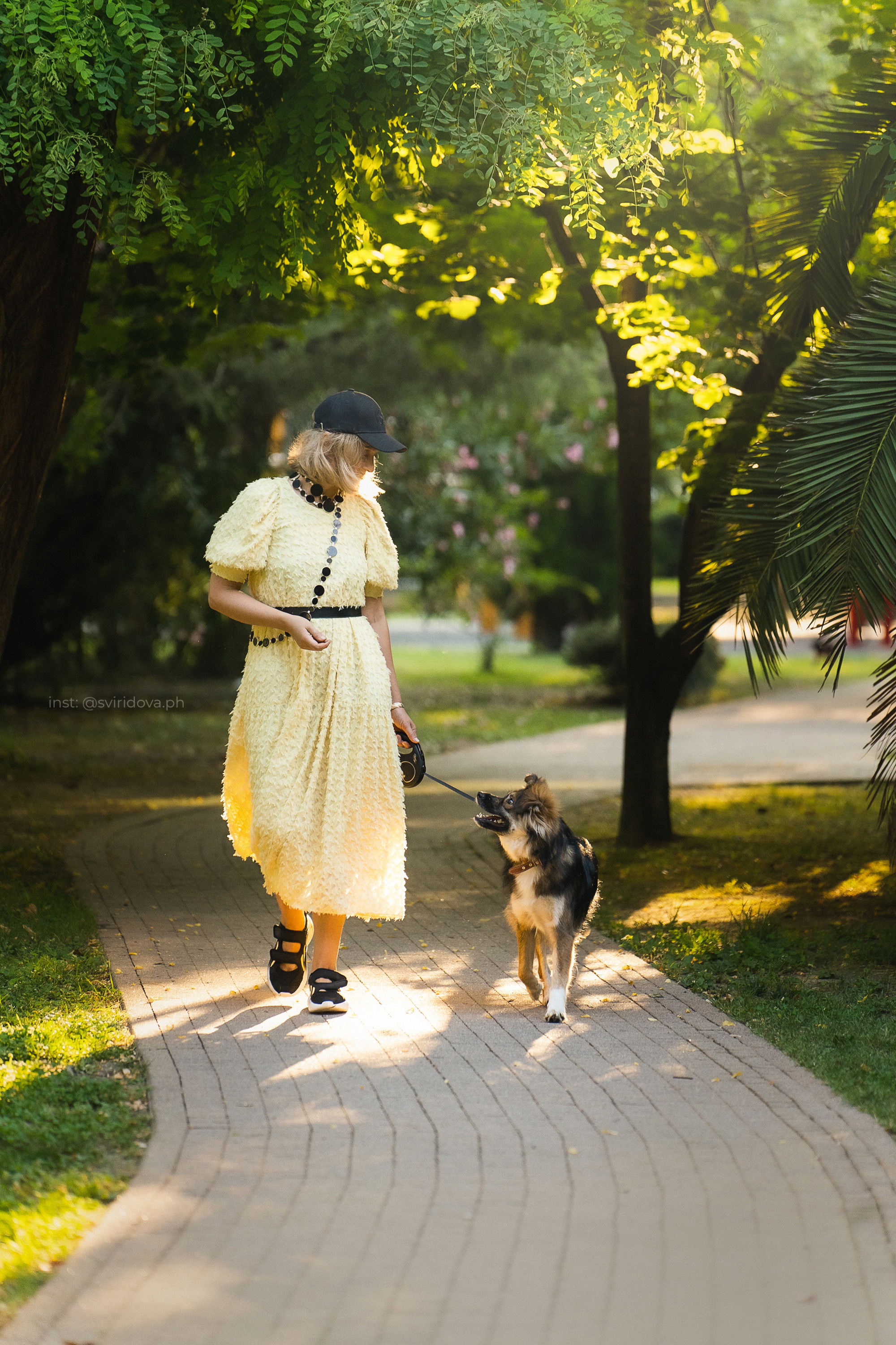 Собакам ищут дом. Фотограф анималист в Москве и Санкт-Петербурге Свиридова Анна