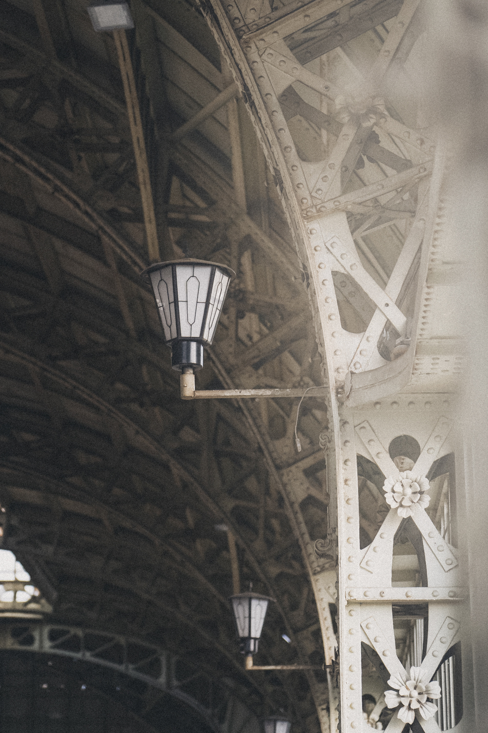 Вика и Чара. Фотограф анималист в Москве и Санкт-Петербурге Свиридова Анна