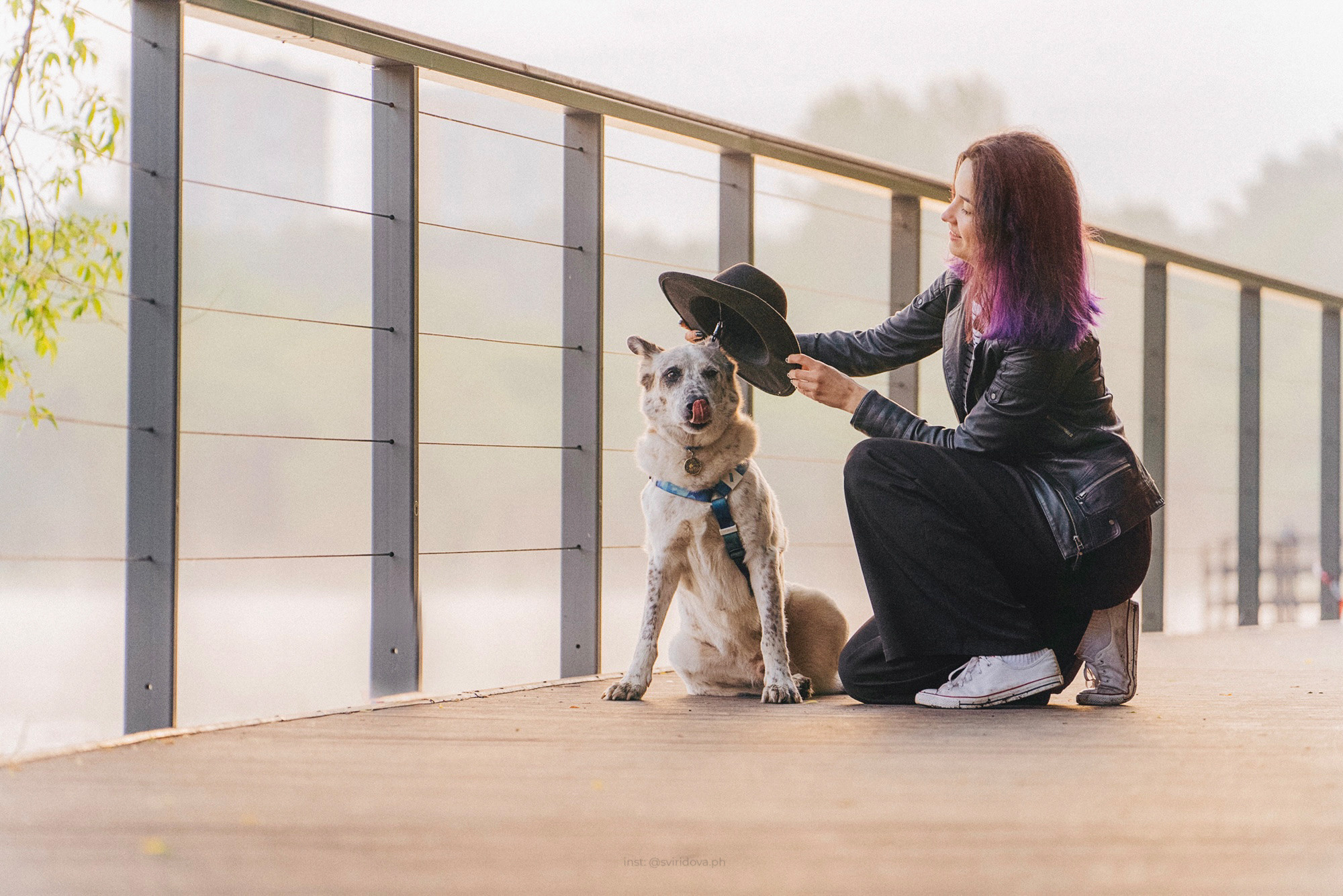 Катя и Бутуз. Фотограф анималист в Москве и Санкт-Петербурге Свиридова Анна