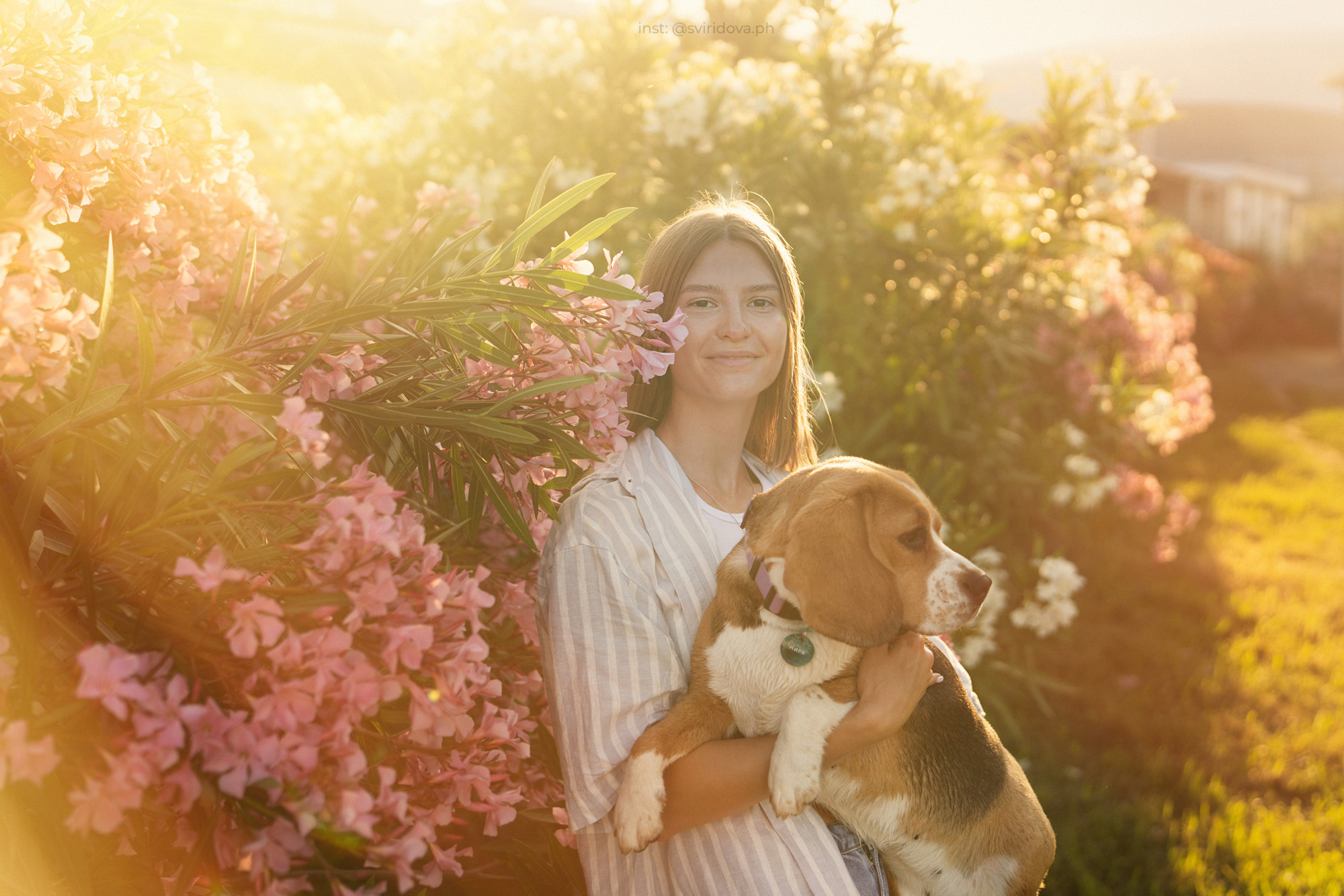 Евгения и Мира. Фотограф анималист в Москве и Санкт-Петербурге Свиридова Анна