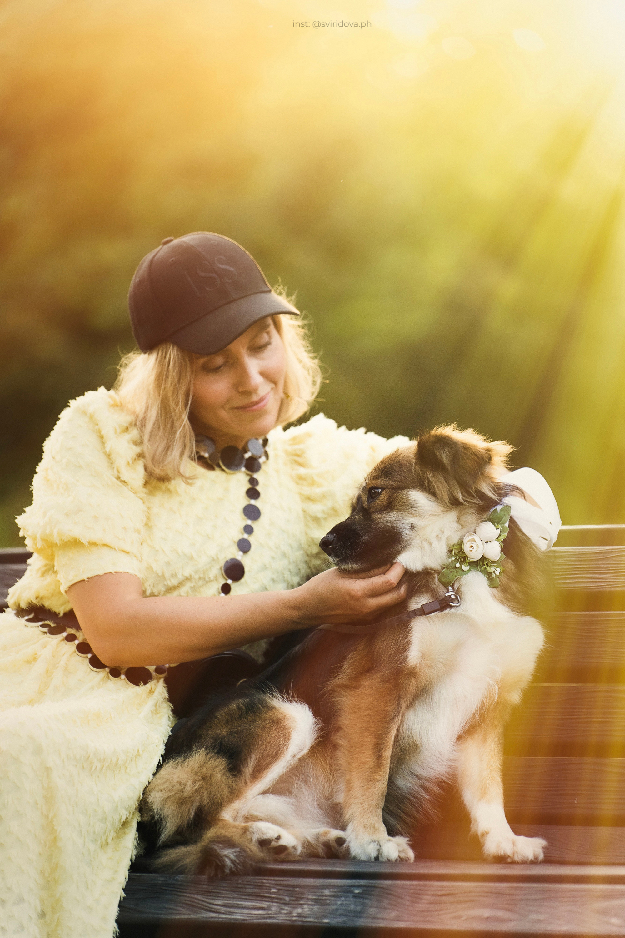 Собакам ищут дом. Фотограф анималист в Москве и Санкт-Петербурге Свиридова Анна