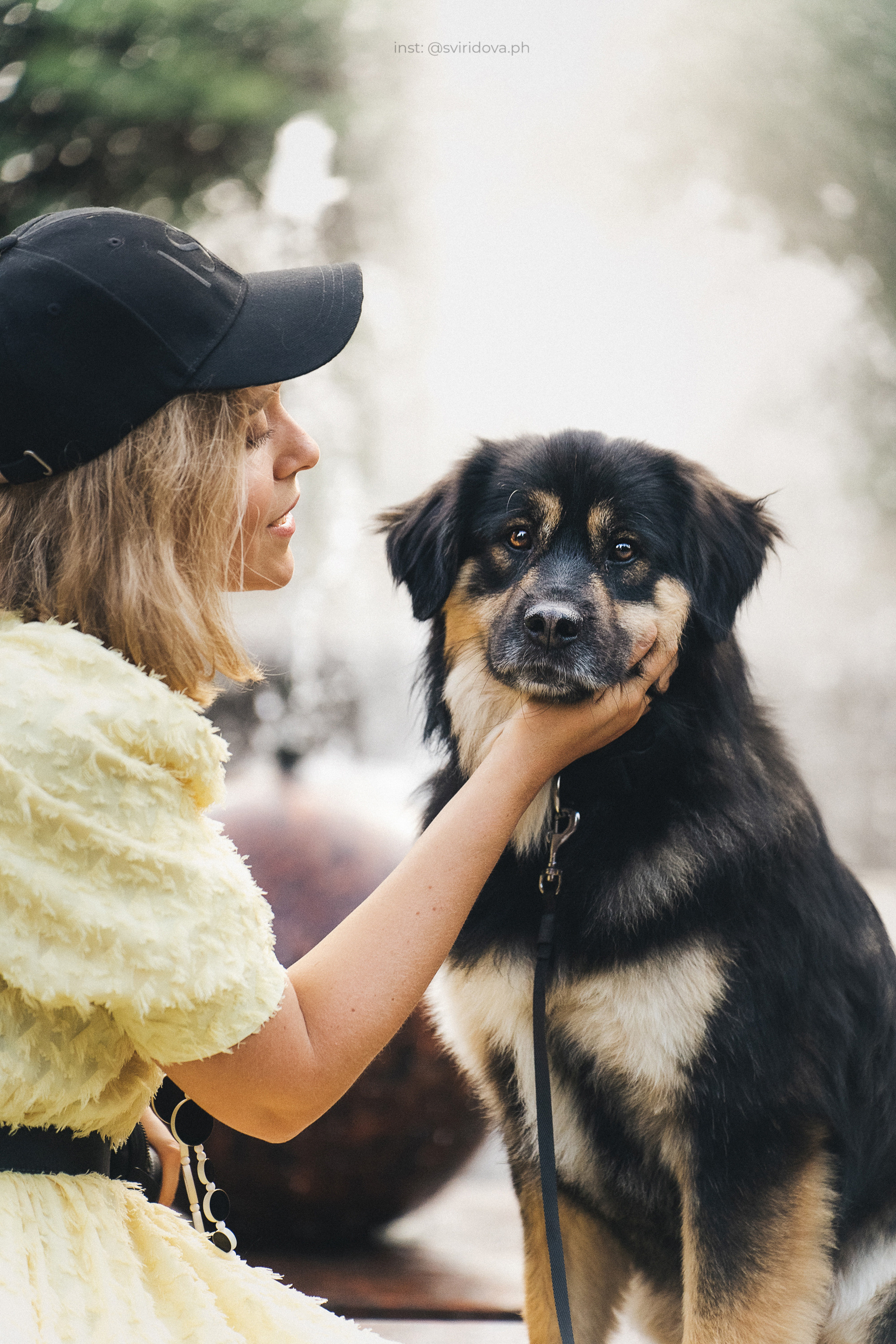 Собакам ищут дом. Фотограф анималист в Москве и Санкт-Петербурге Свиридова Анна