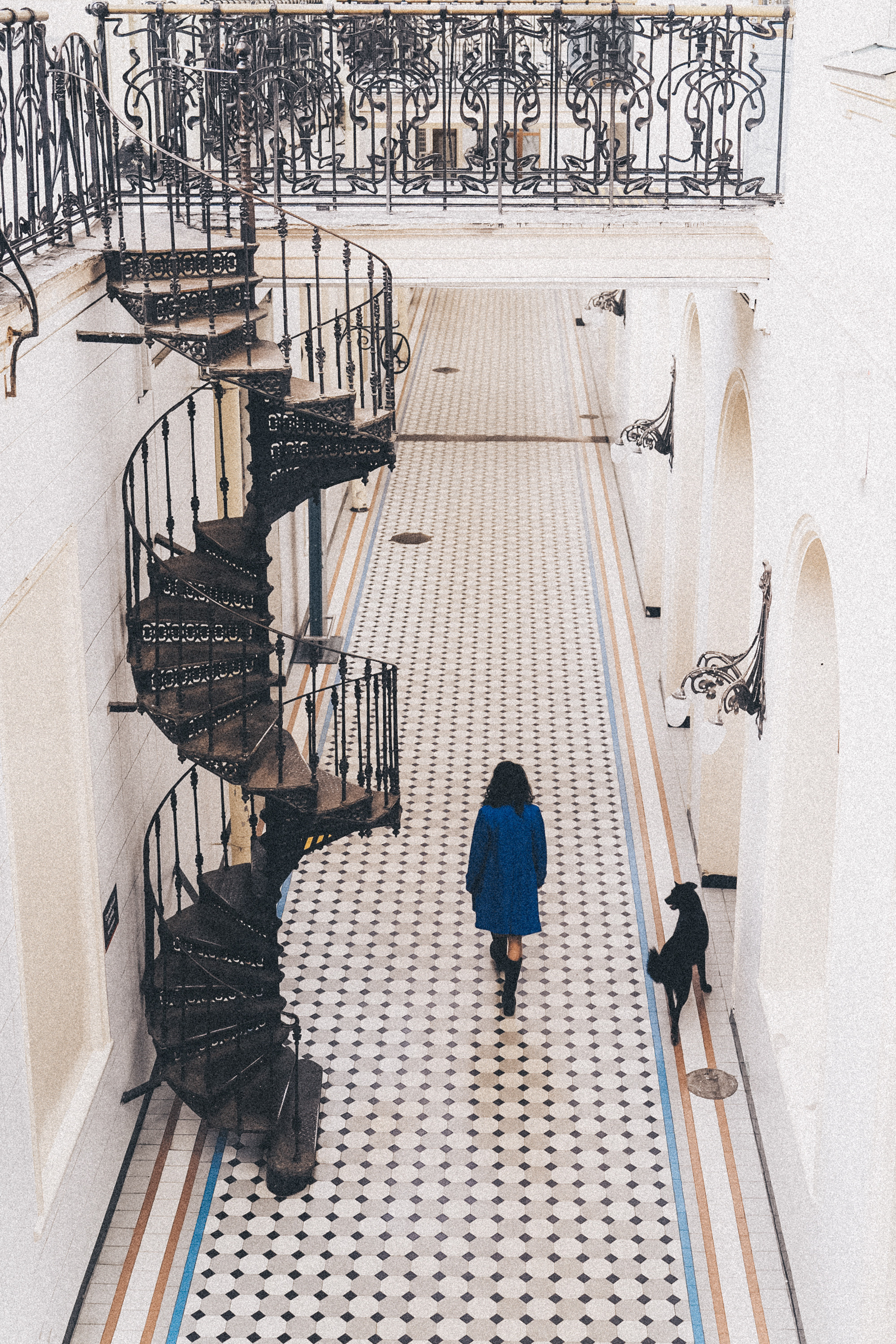 Вика и Чара. Фотограф анималист в Москве и Санкт-Петербурге Свиридова Анна