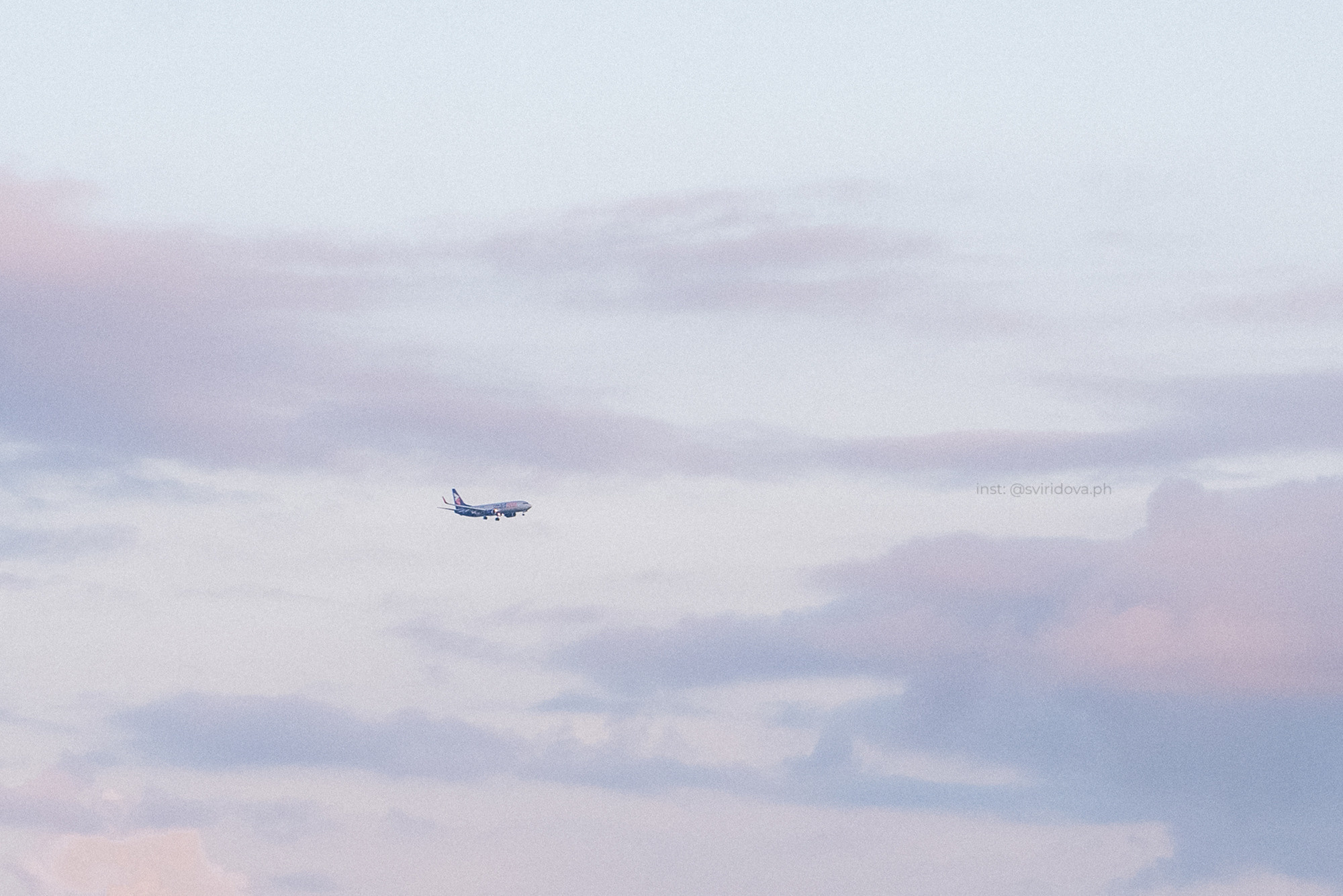 Евгения и Мира. Фотограф анималист в Москве и Санкт-Петербурге Свиридова Анна