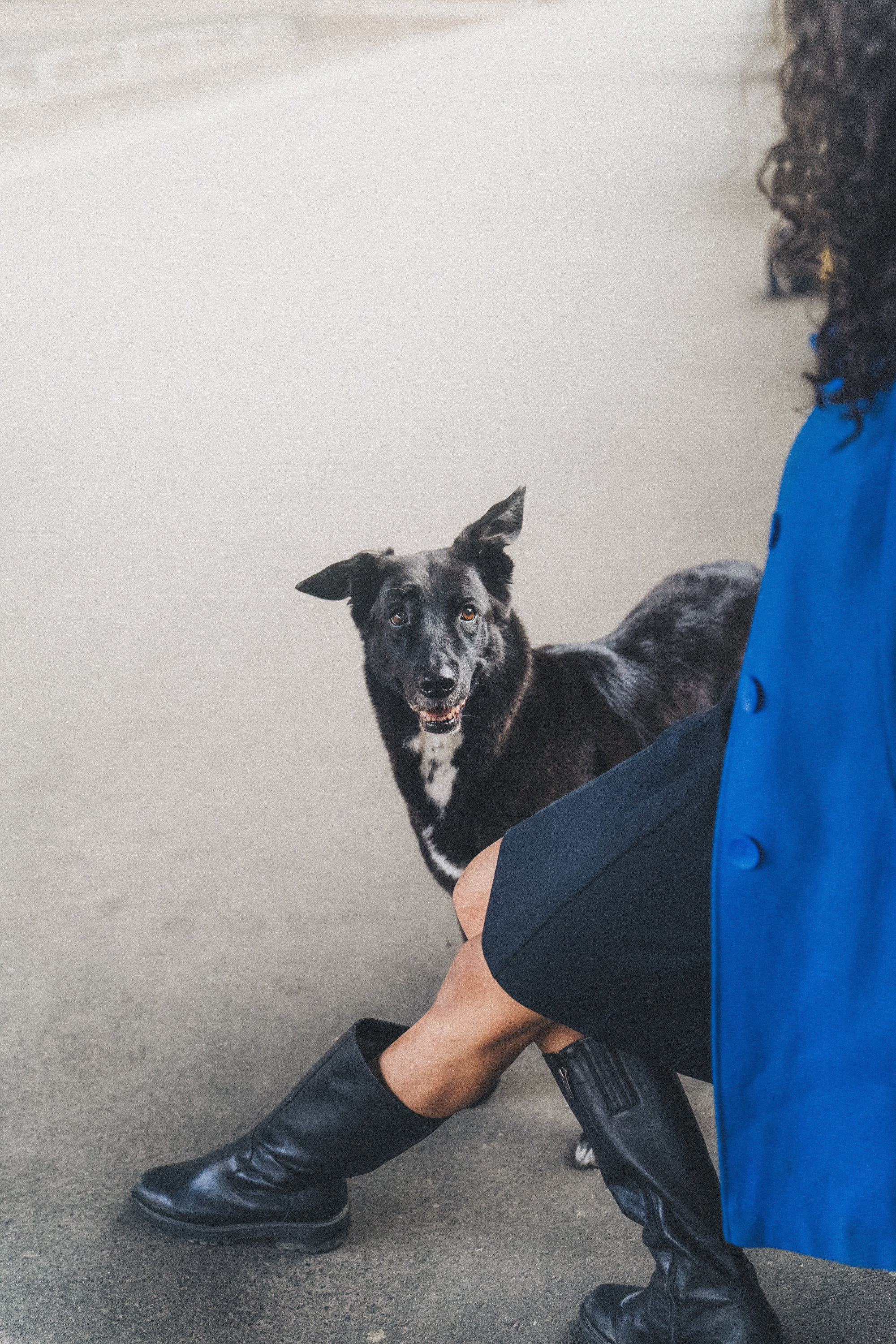 Вика и Чара. Фотограф анималист в Москве и Санкт-Петербурге Свиридова Анна