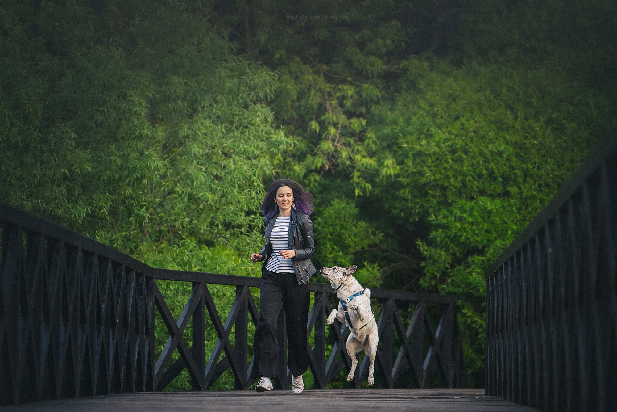 Катя и Бутуз. Фотограф анималист в Москве и Санкт-Петербурге Свиридова Анна