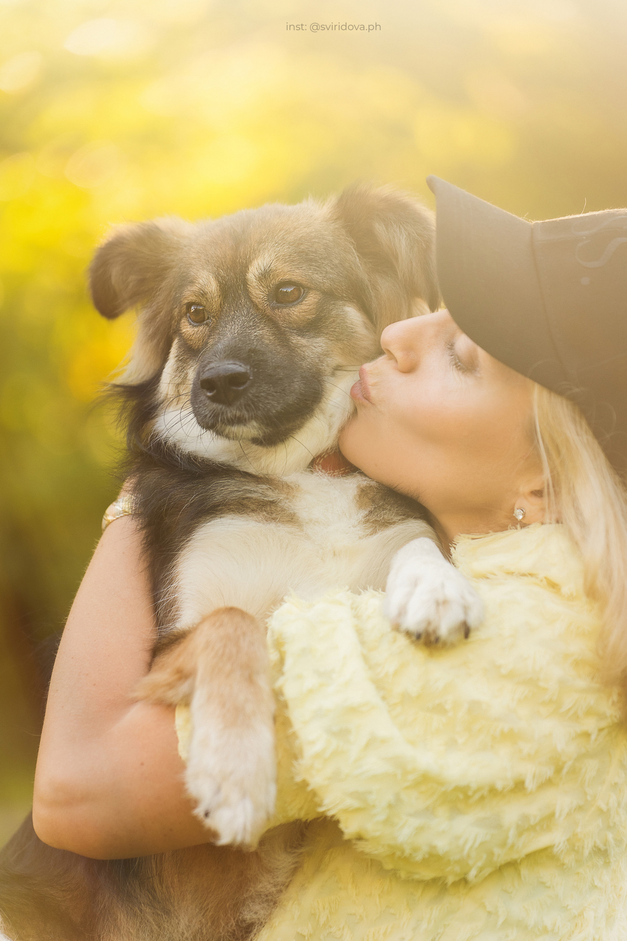 Собакам ищут дом. Фотограф анималист в Москве и Санкт-Петербурге Свиридова Анна