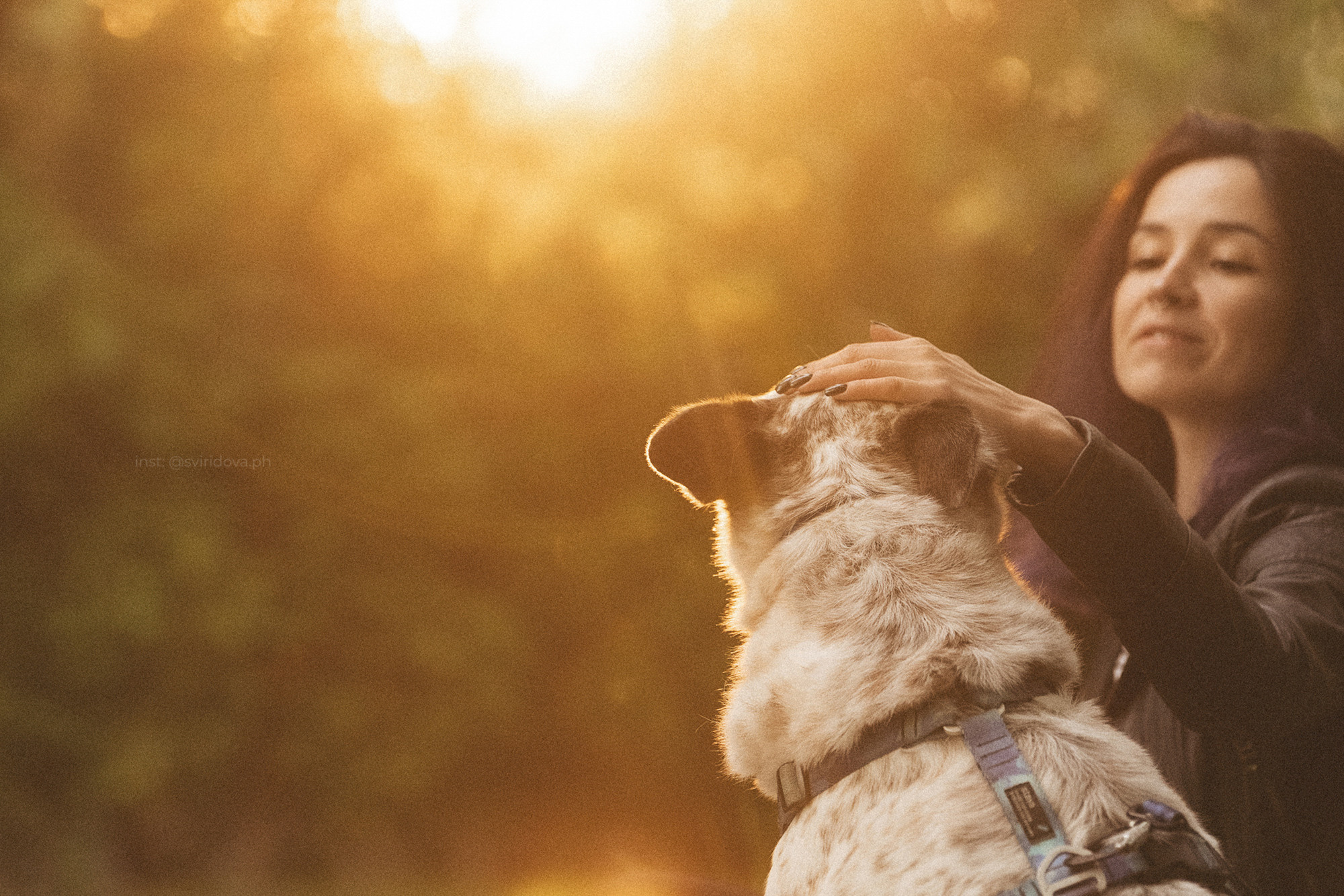 Катя и Бутуз. Фотограф анималист в Москве и Санкт-Петербурге Свиридова Анна