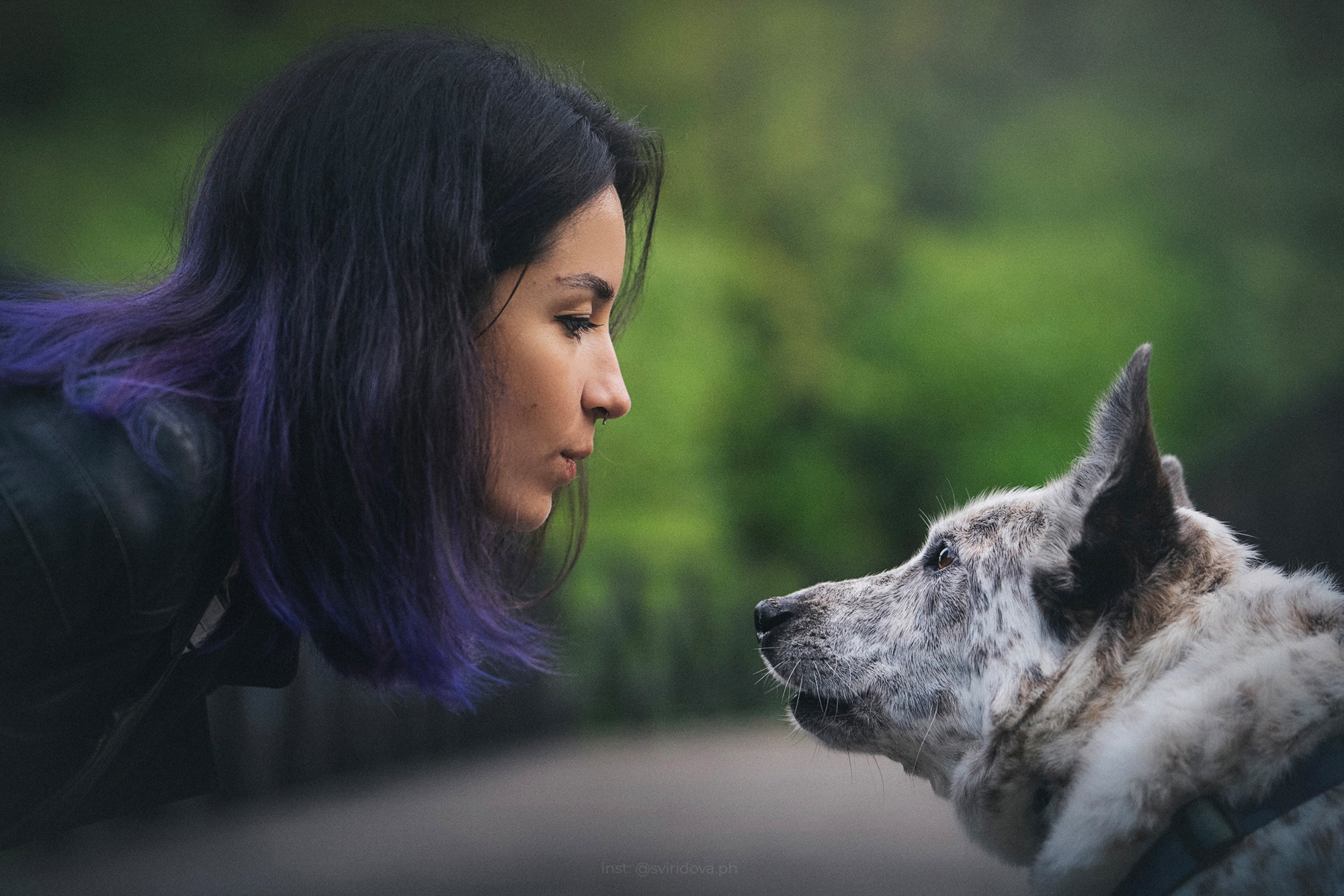 Катя и Бутуз. Фотограф анималист в Москве и Санкт-Петербурге Свиридова Анна