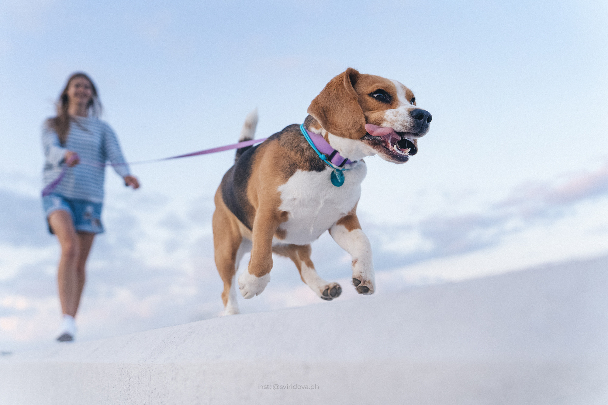 Евгения и Мира. Фотограф анималист в Москве и Санкт-Петербурге Свиридова Анна