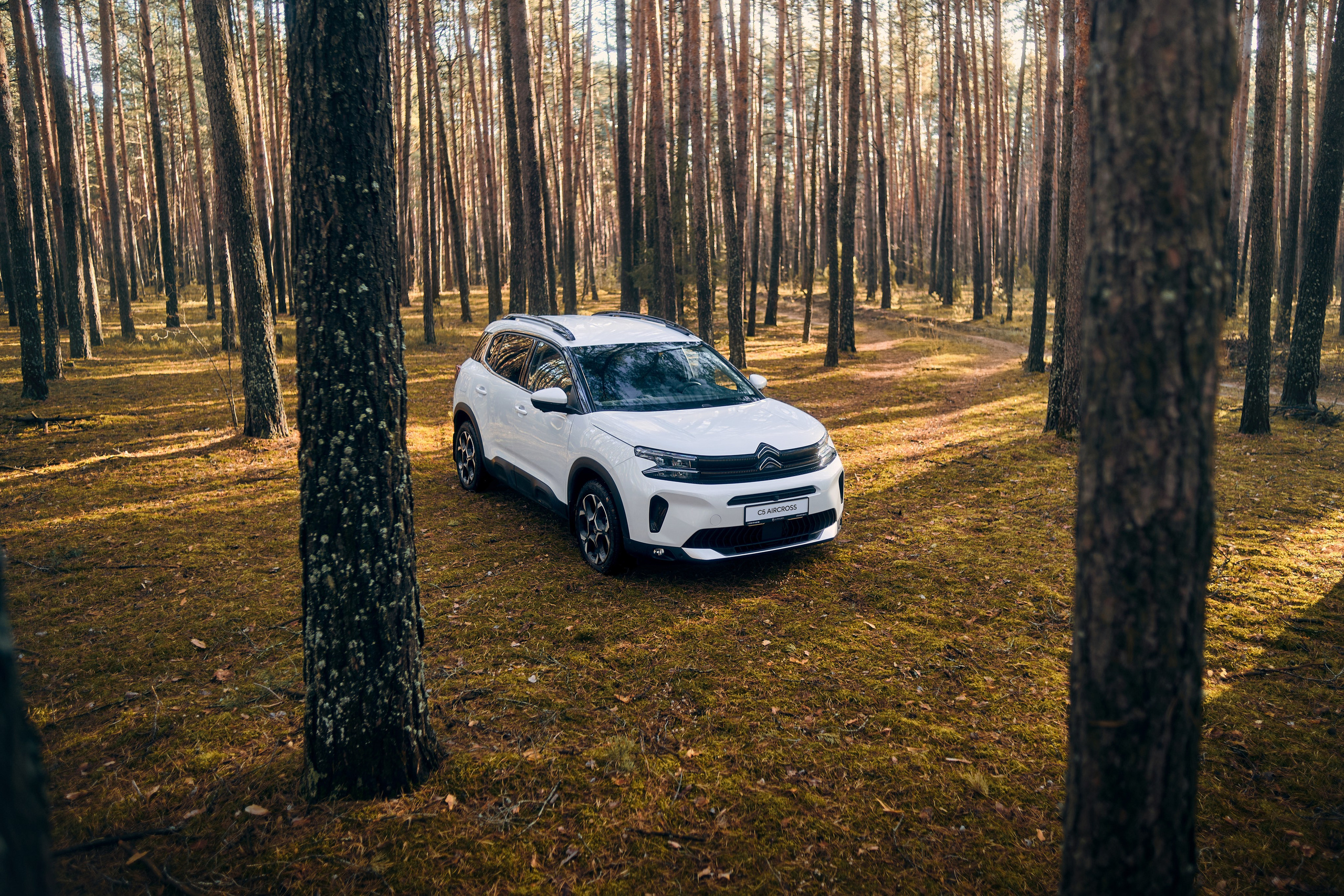 Фотографии Citroen C5 Aircross