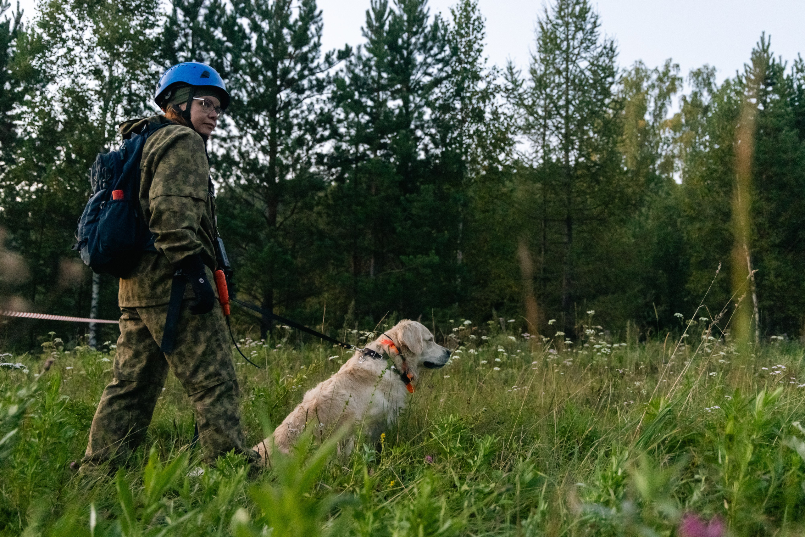 VI ОТКРЫТЫЕ КИНОЛОГИЧЕСКИЕ СОРЕВНОВАНИЯ. ЧЕЛЯБИНСКАЯ ОБЛАСТЬ 2025. Репортажный фотограф Наталья Лапцевич