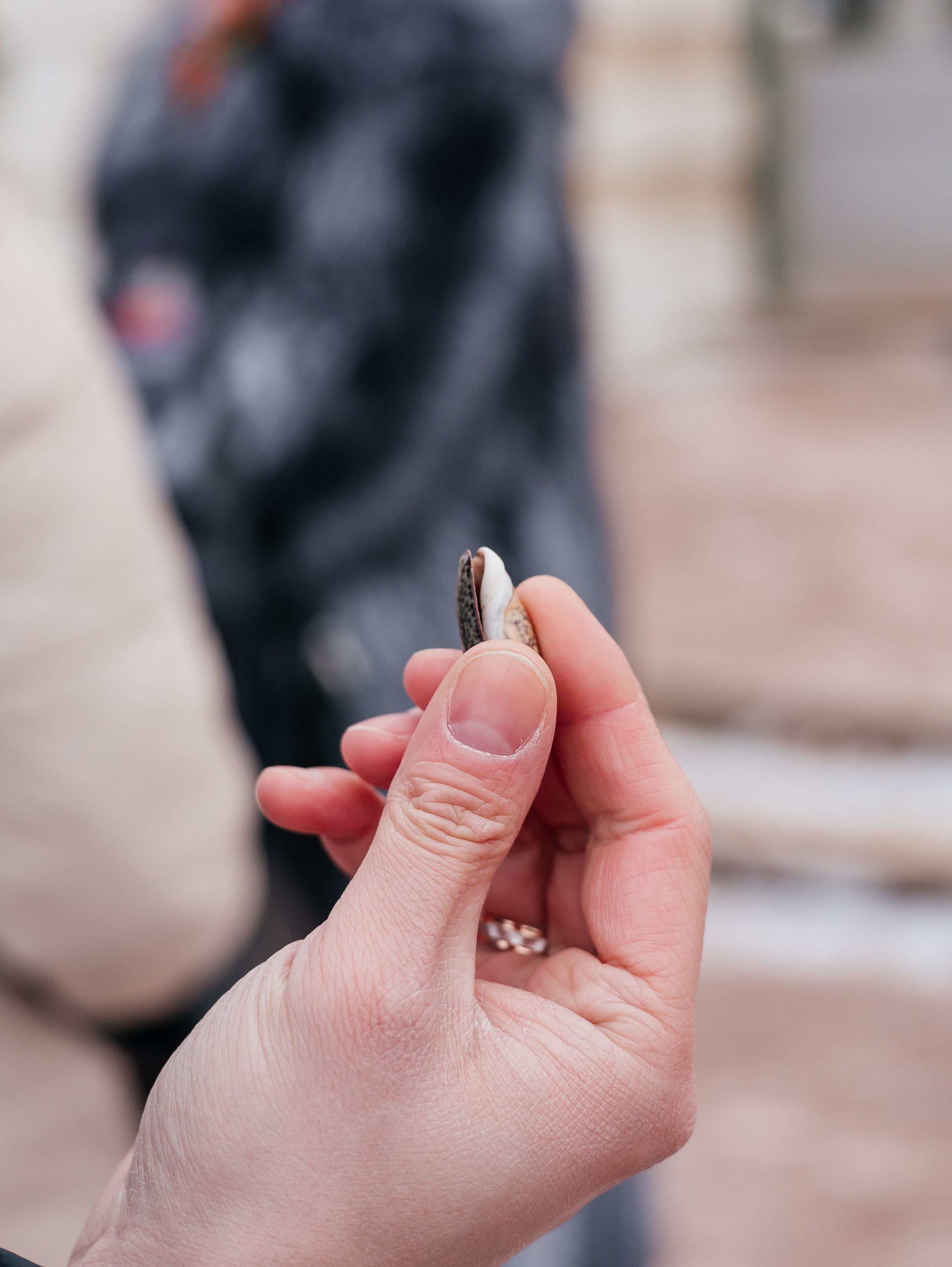 Фотоотчет с экскурсии в музей-заповедник «Кусково». Свадебный и репортажный фотограф в Москве