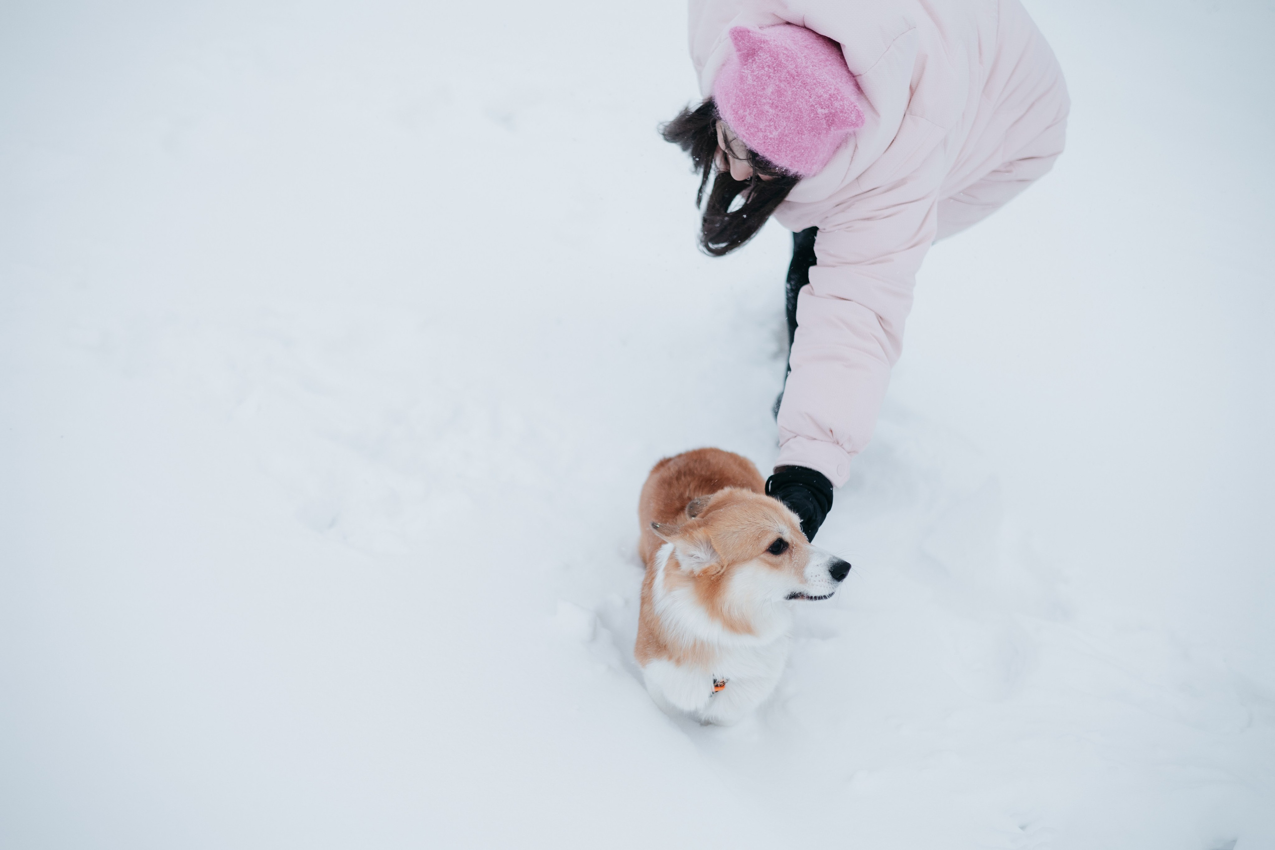 Лена, Лиза и Мия. Фотограф — анималист Владивосток, Алина
