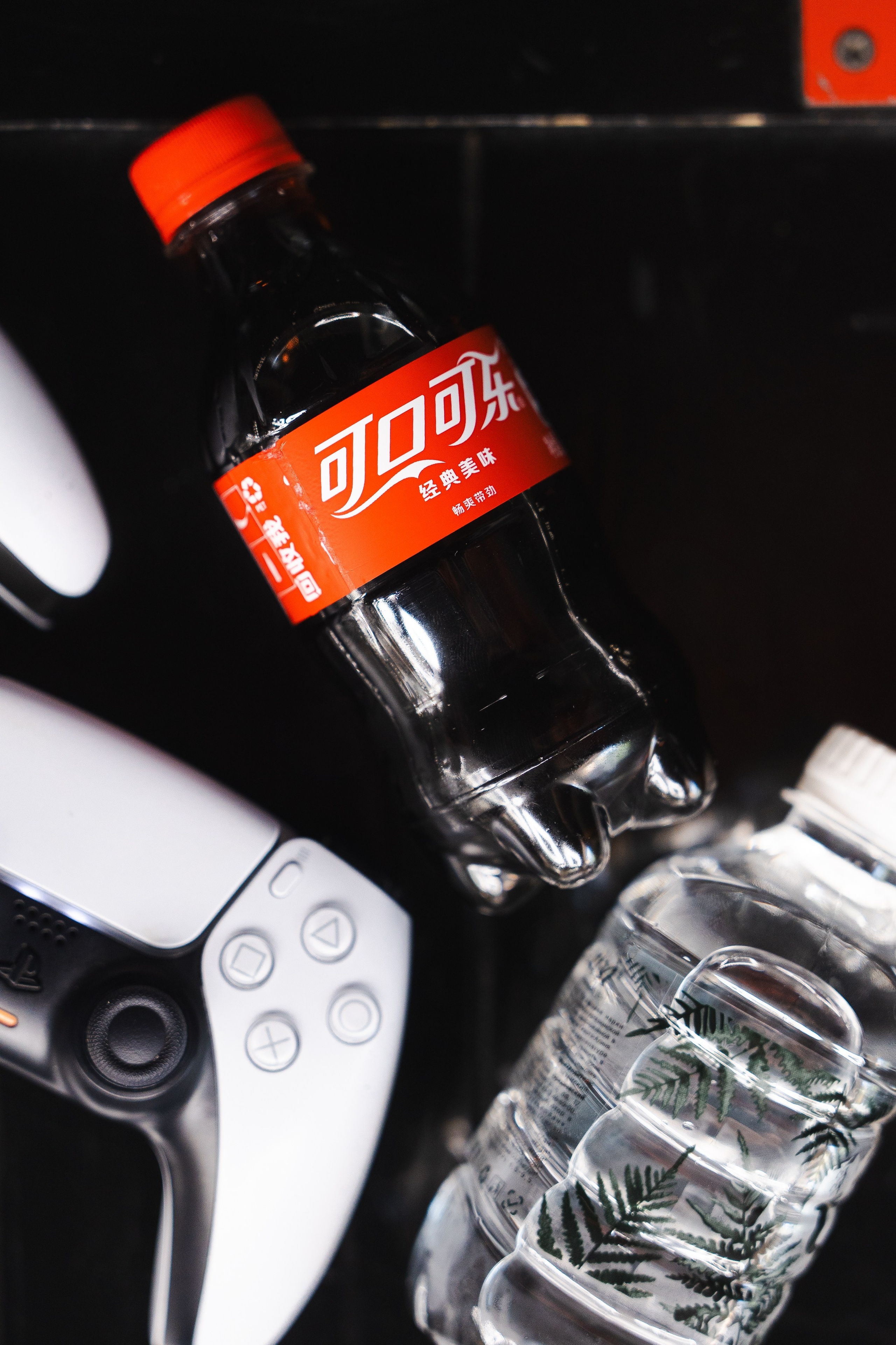 Nordmen. Фотограф Хабаровск