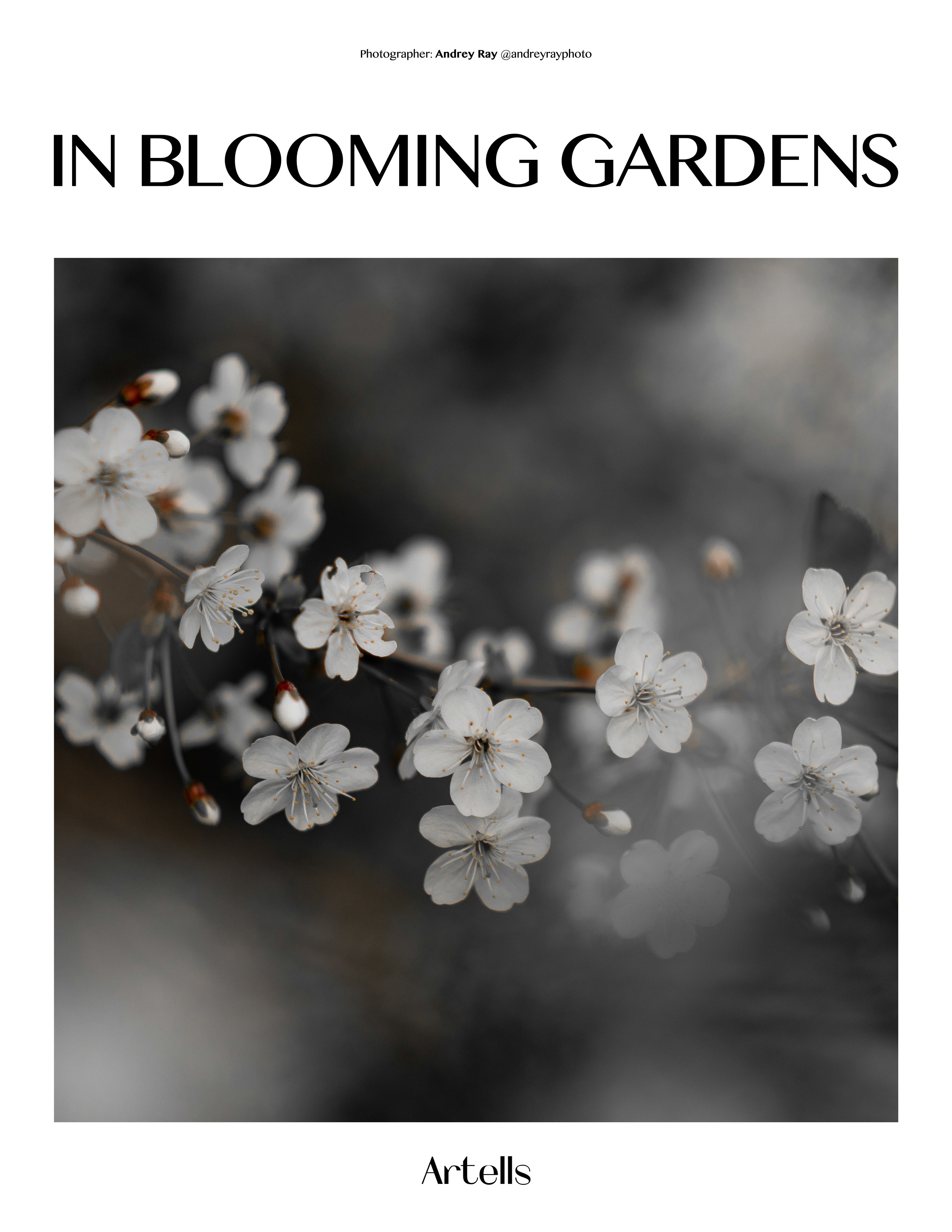 Андрей Рэй фотосъемки