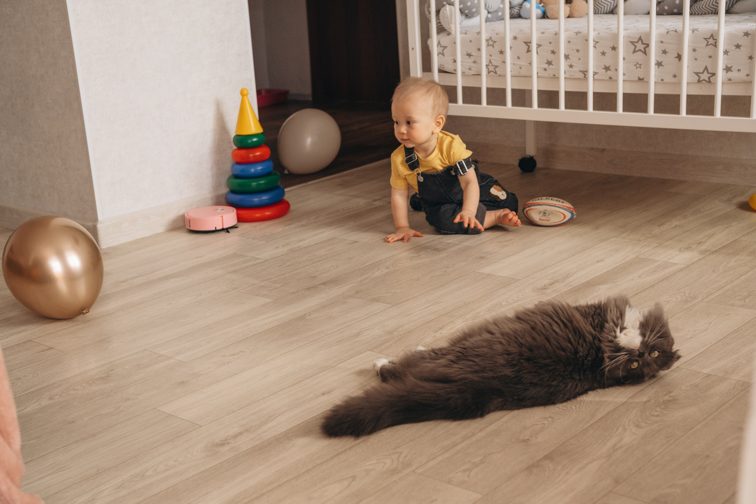 Семейная домашняя серия. Alenasokolowa.ru