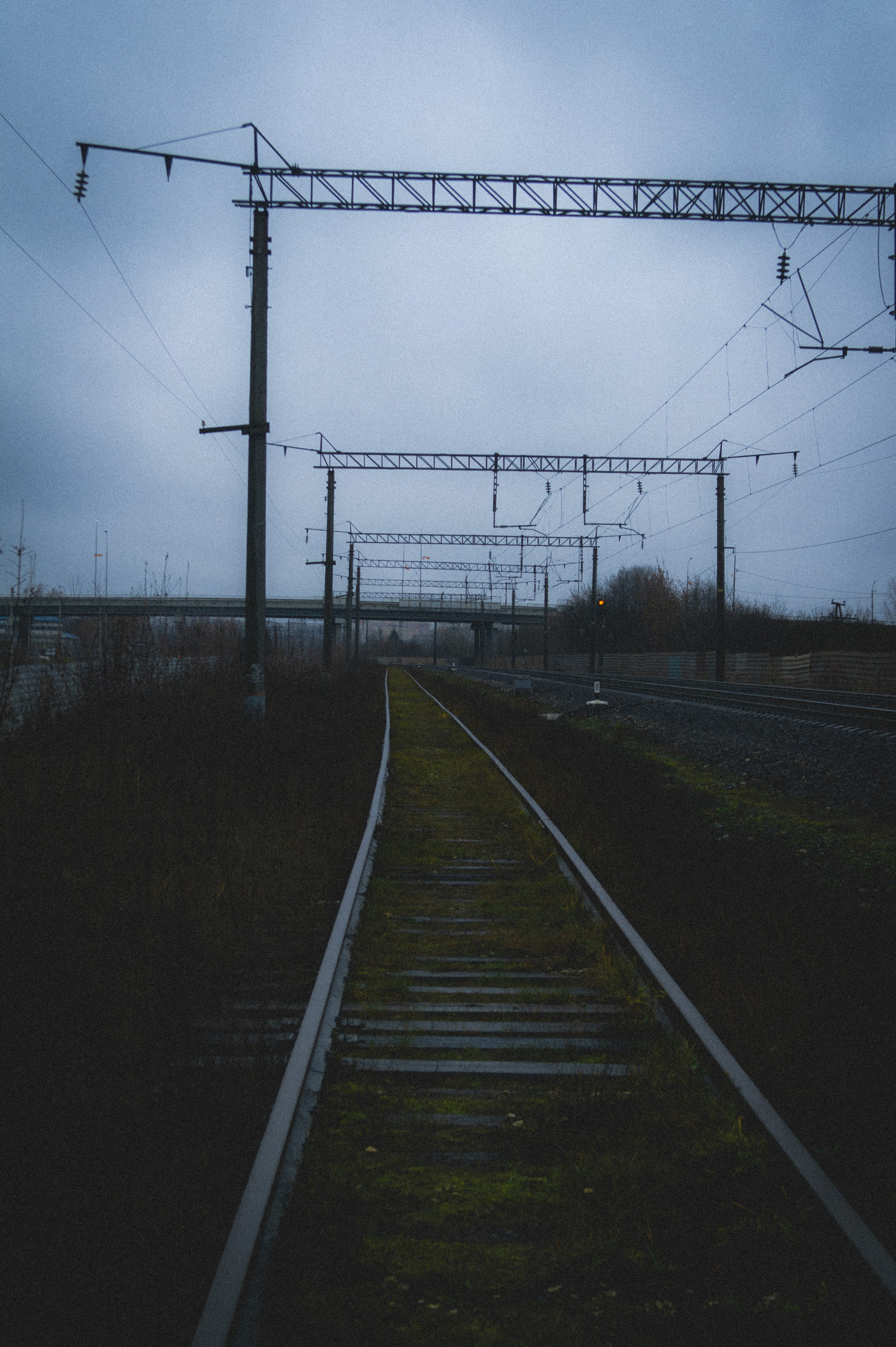 Полёт Шмеля. Den Mirov — Фотограф, Музыкант