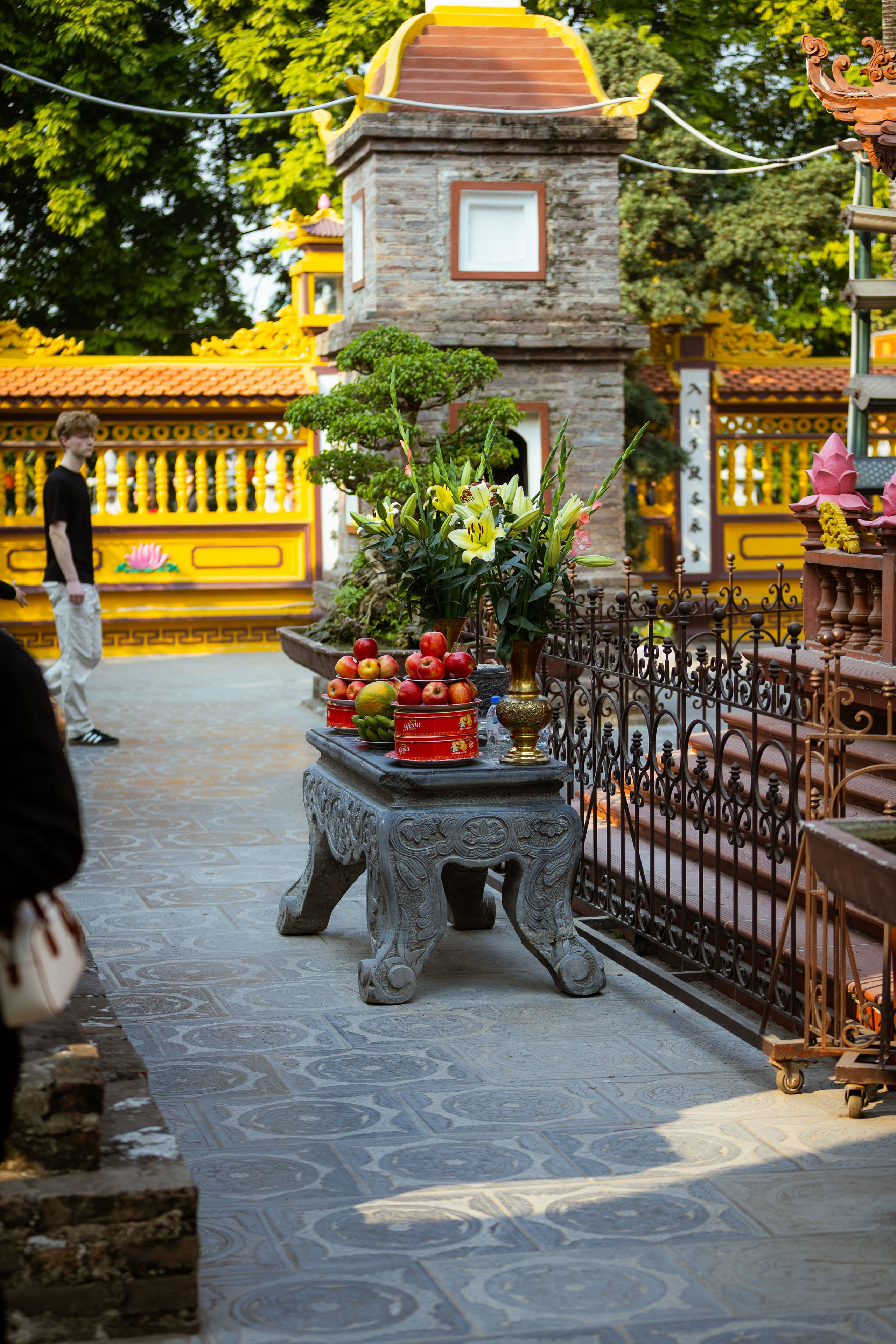 Вьетнам (зима 2025-2026). Фотограф Виноградов Константин