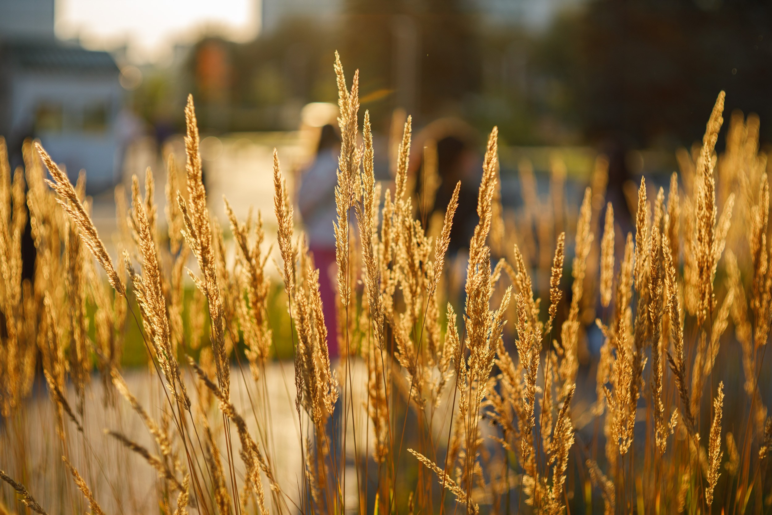 Фотохудожник Андрей Лагунов