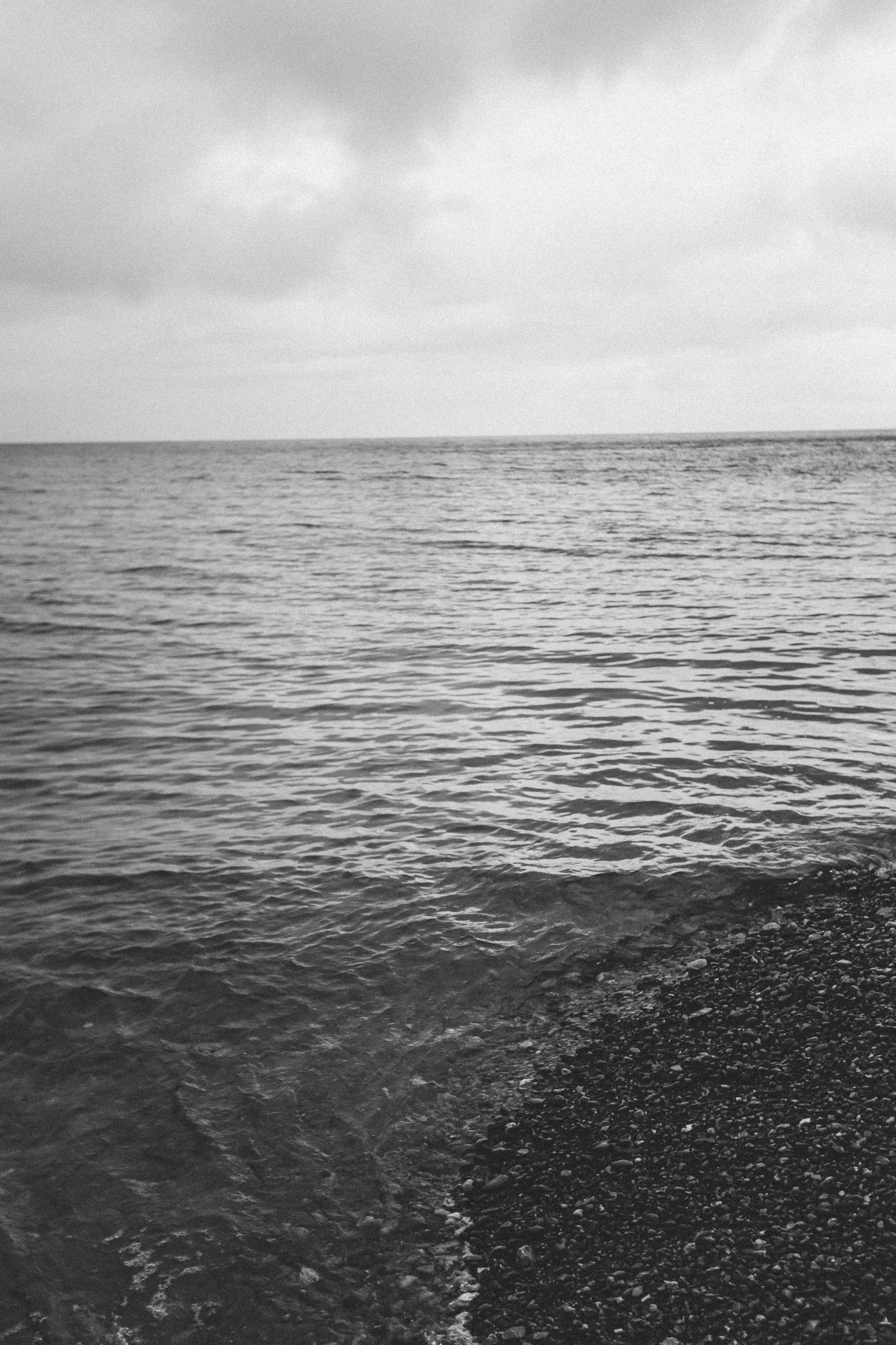 Рулетик или шаурма