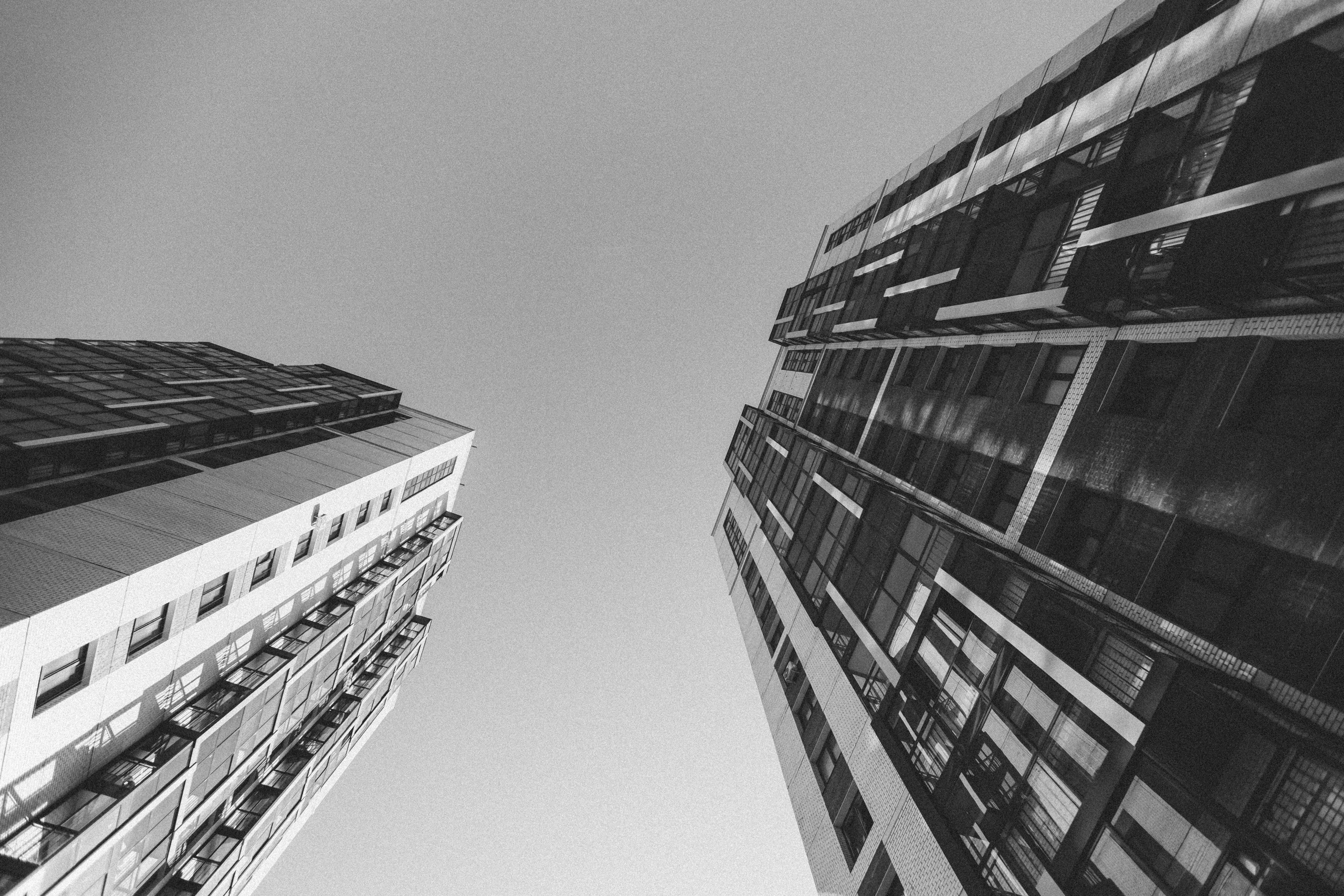 Рулетик или шаурма