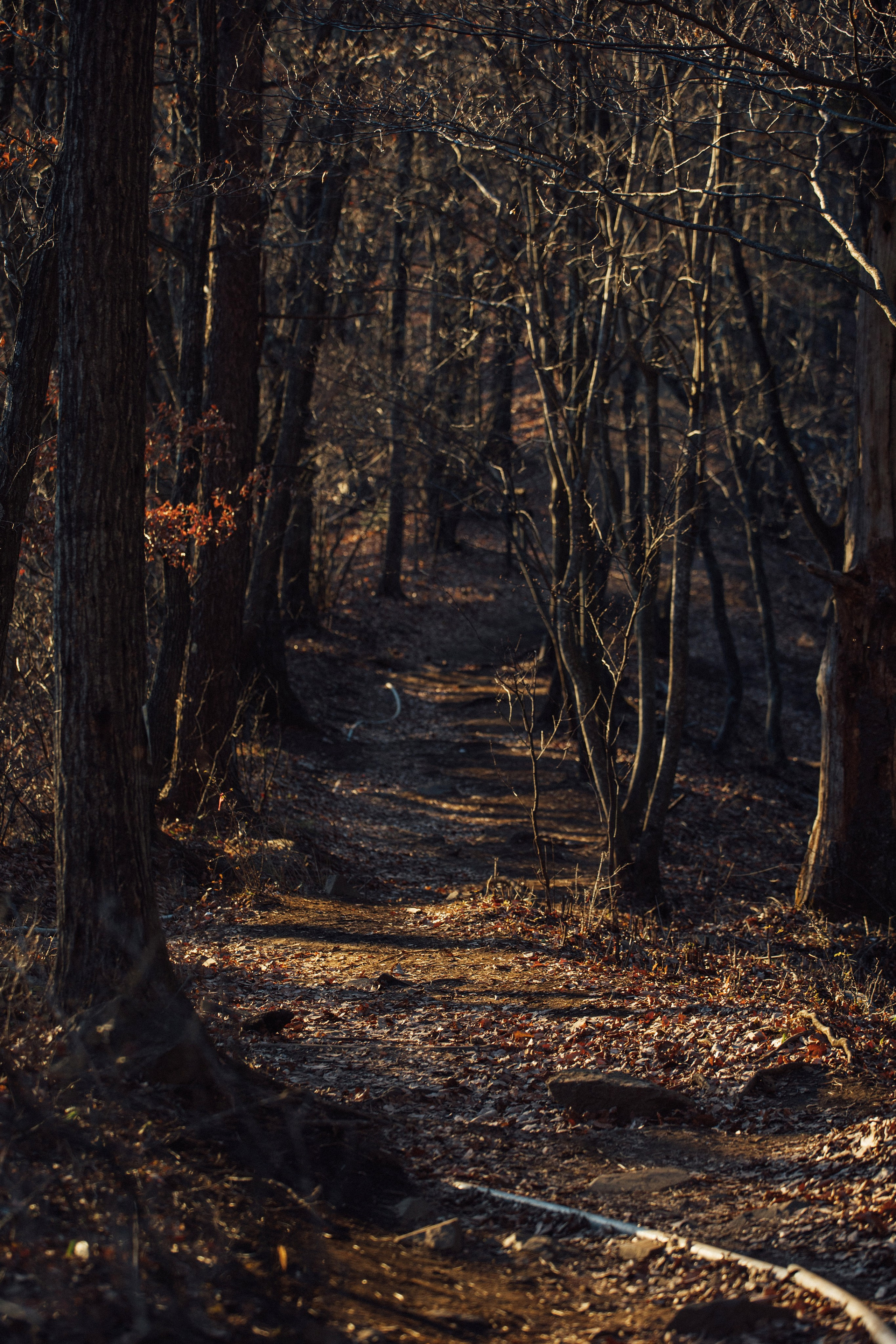 Япония. Главная