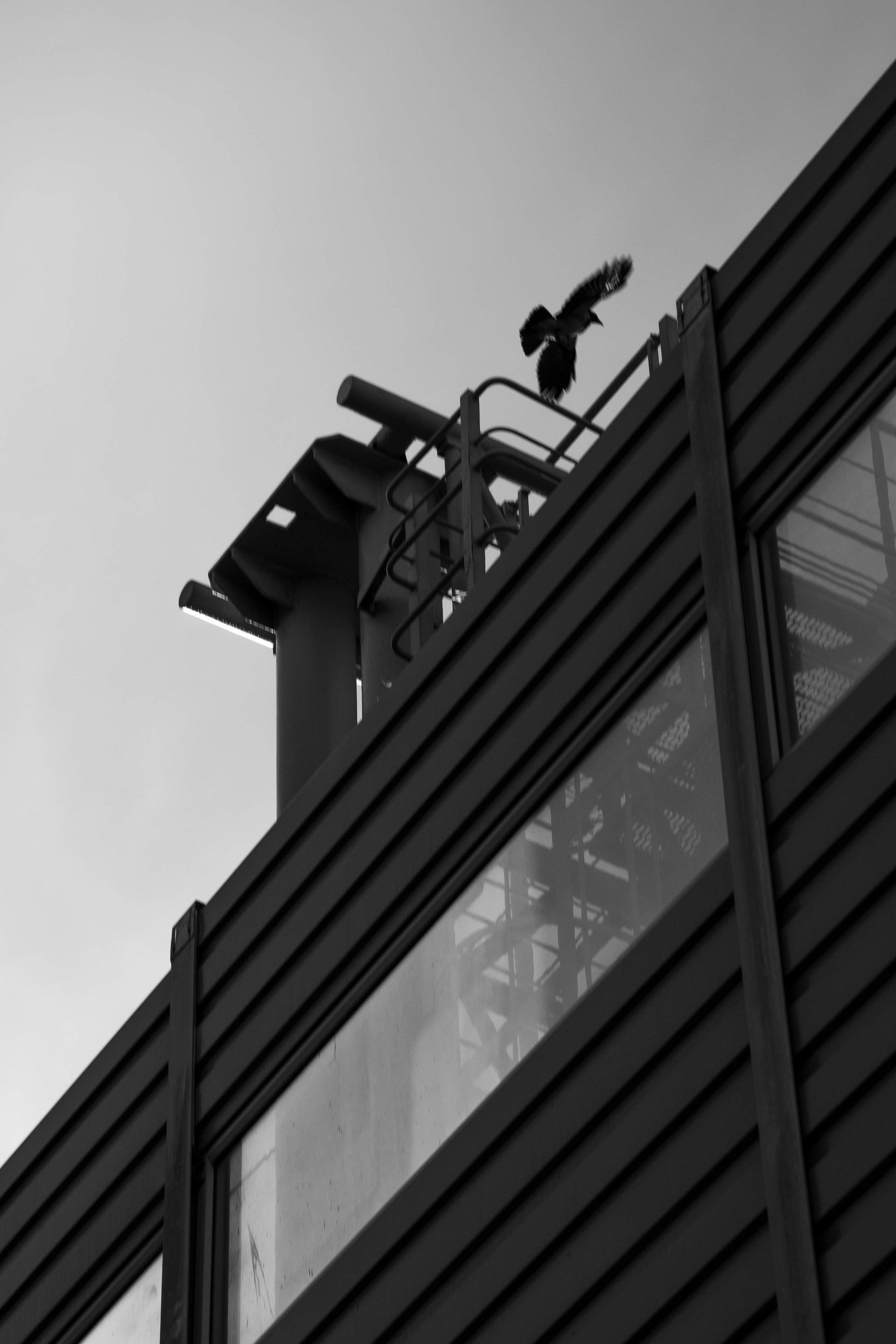 Разное неважное. Фотограф в Москве Алейникова Евгения