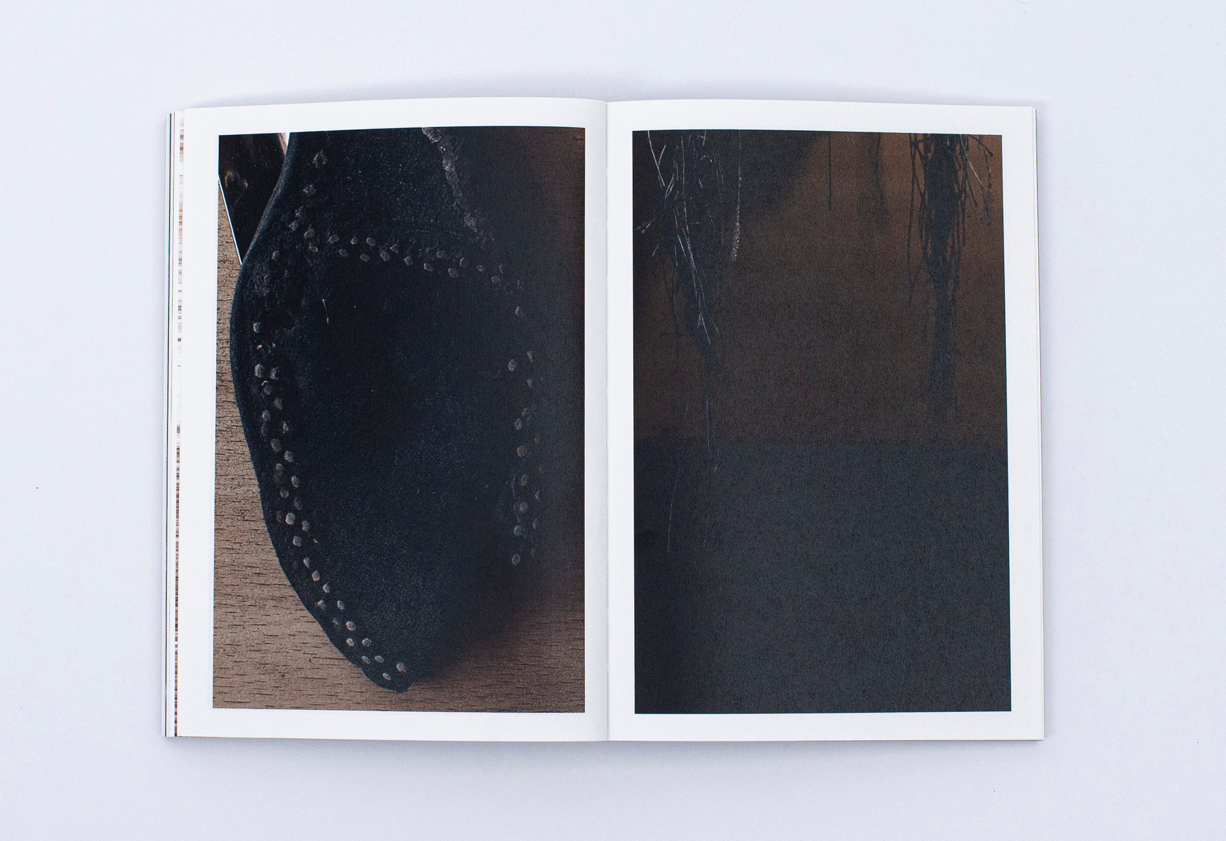 Книга. Фотограф в Москве Алейникова Евгения